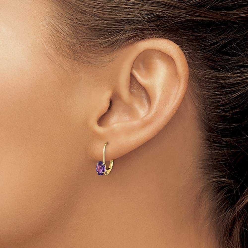 14K Yellow Gold 6x4mm Oval Amethyst Leverback Earrings for Women - Elegant Fine Jewelry Gift for Her - Perfect for Weddings, Anniversaries & Special Occasions