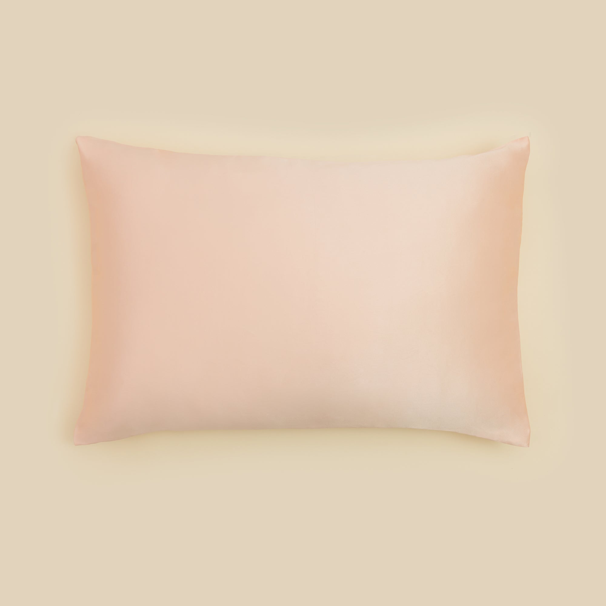 Premium 100% Mulberry Silk Pillowcase for Hair & Skin - 19 Momme Grade Silk Pillow Cover with Zipper (Queen Size) - Luxury Bedding for Anti-Aging, Reduced Wrinkles & Frizz-Free Hair - Perfect for Side Sleepers & Beauty Sleep