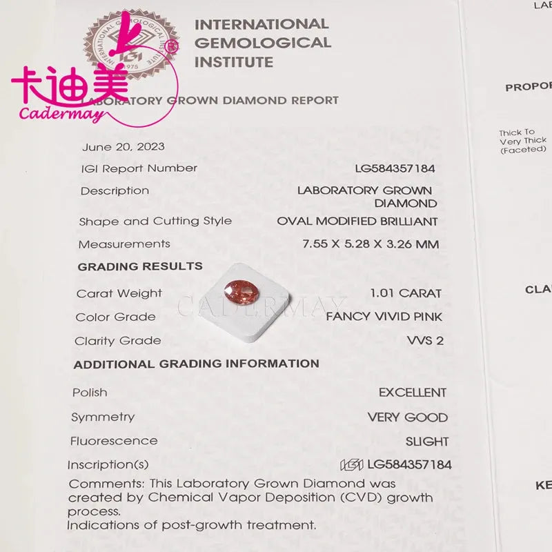 1.01CT VVS2
