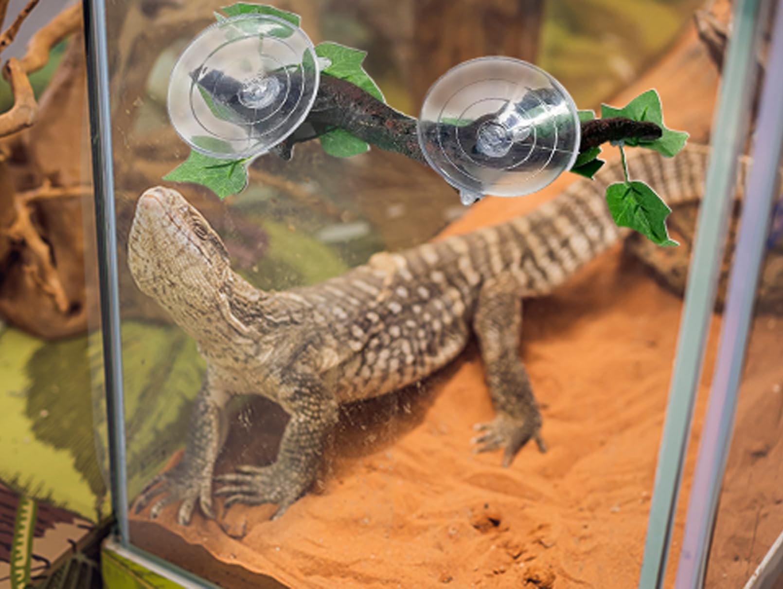 PINVNBY 2 Pack Reptile Corner Branches - Natural Terrarium Plants Decor with Suction Cups for Lizards, Snakes & Amphibians - Perfect for Climbing & Habitat Enrichment in Reptile Tanks