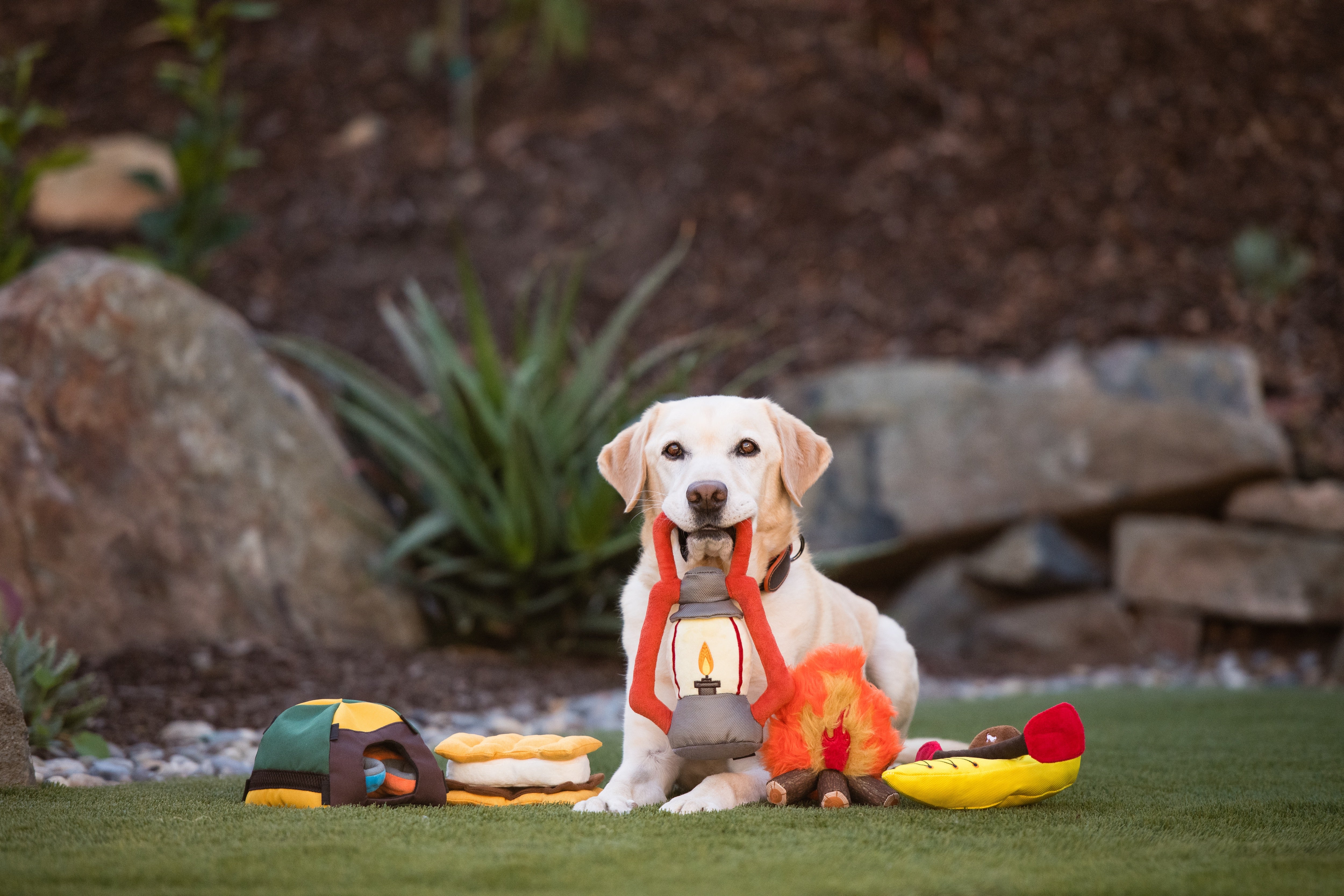 La Fogata Dog Chew Toy - Camp Corbin™ Plush Squeaky Chew Toy for Dogs | Pet P.L.A.Y. | Perfect for Playtime, Training & Outdoor Adventures