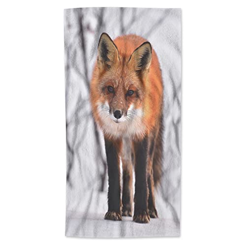 Red Fox