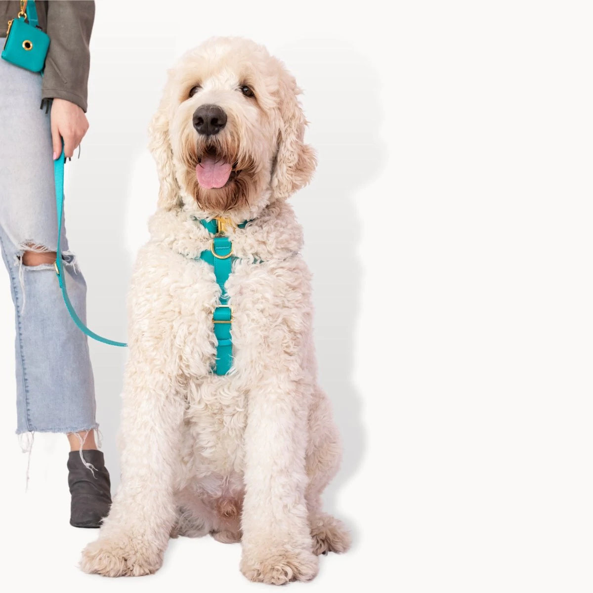 Ripley & Rue Vegan Leather Dog Harness - Adjustable, Durable & Stylish Pet Harness for Small to Large Dogs (Multiple Colors) - Perfect for Walking, Training & Outdoor Adventures