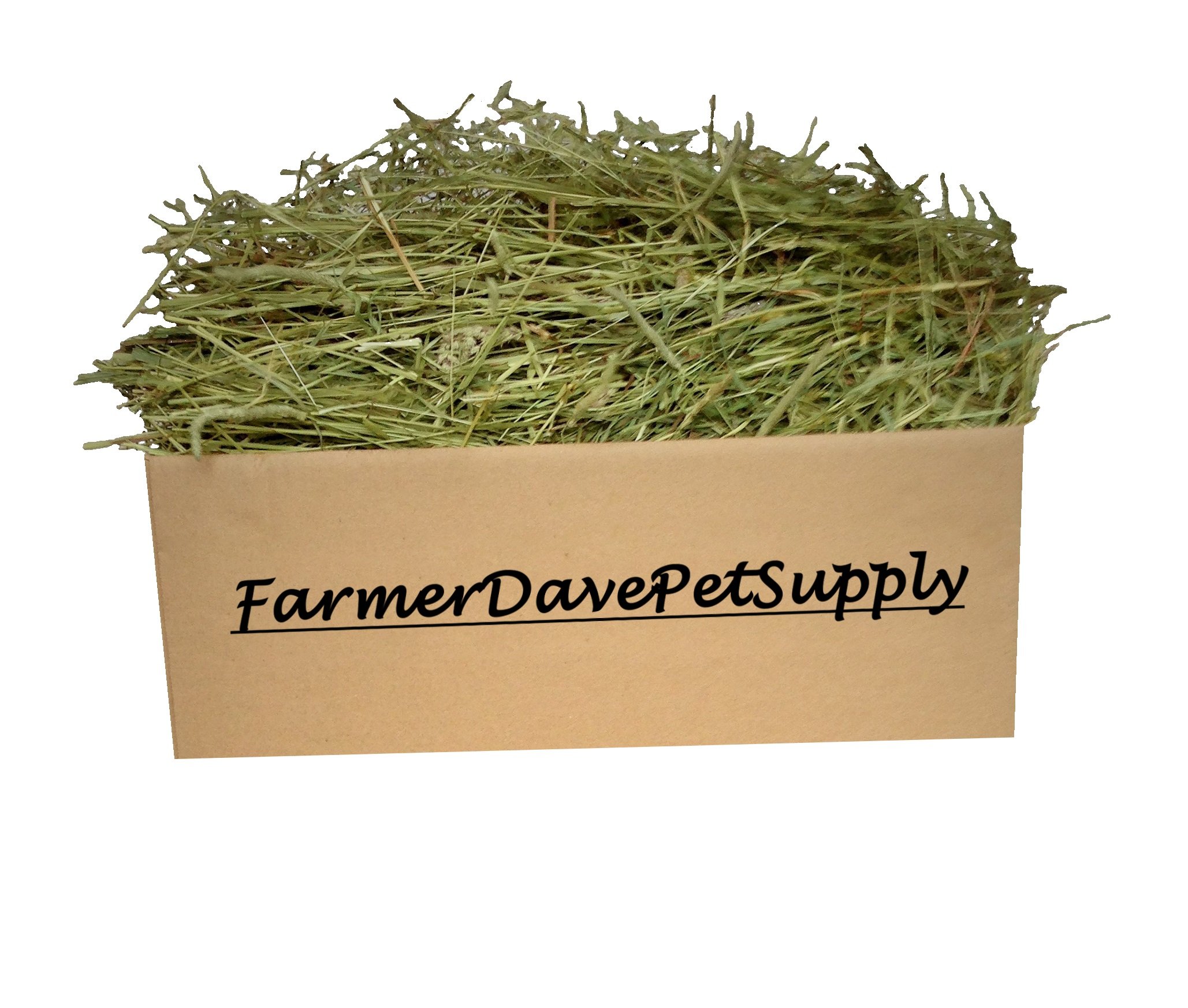 Premium 5 Lb First Cut Timothy Hay for Rabbits & Small Pets - High Fiber Natural Food for Bunnies, Guinea Pigs & Chinchillas - Perfect for Daily Feeding, Cage Bedding & Dental Health