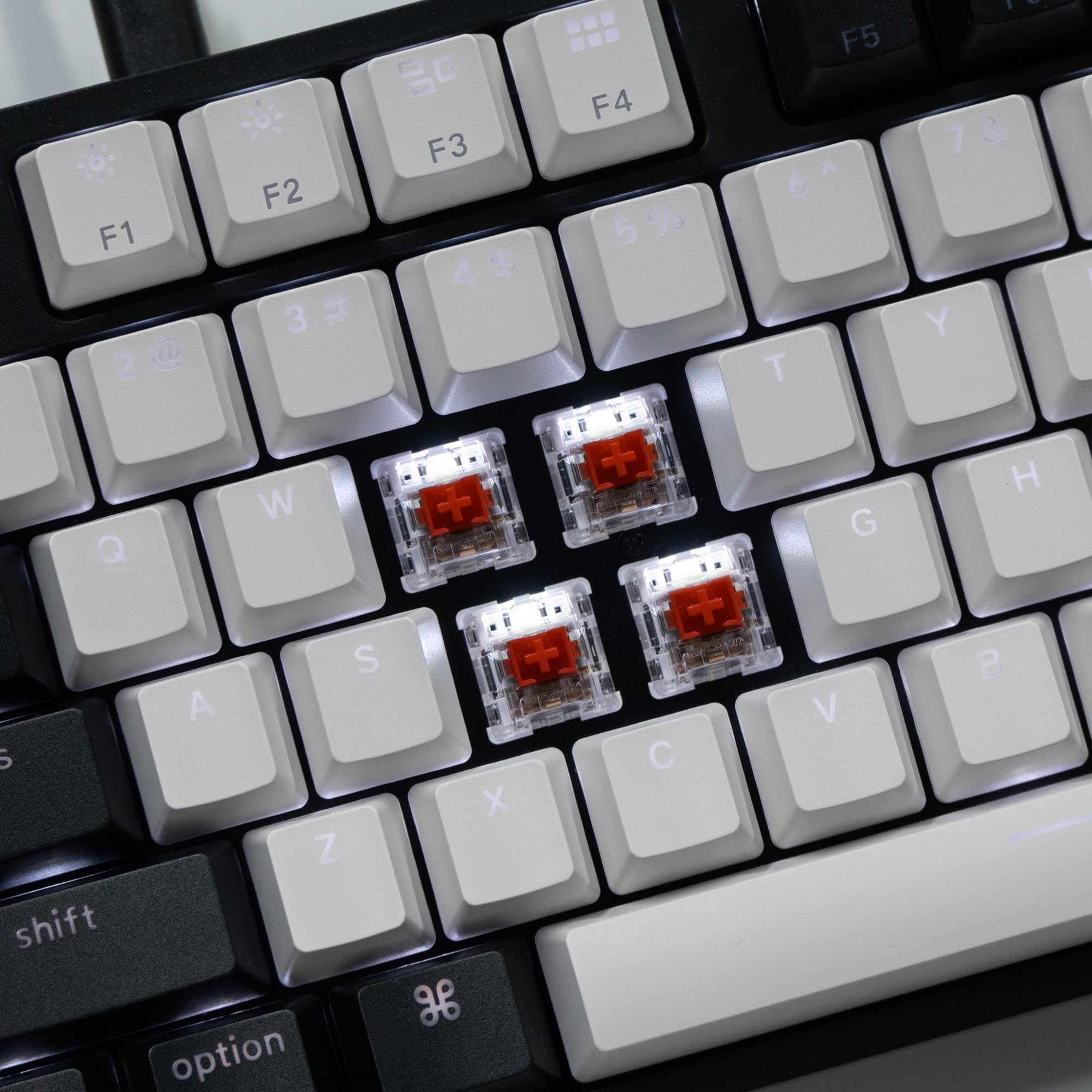 Keychron C2 Wired Mechanical Keyboard - 104 Keys, Gateron Red Switch, White LED Backlight for Mac/Windows Gaming & Office Use