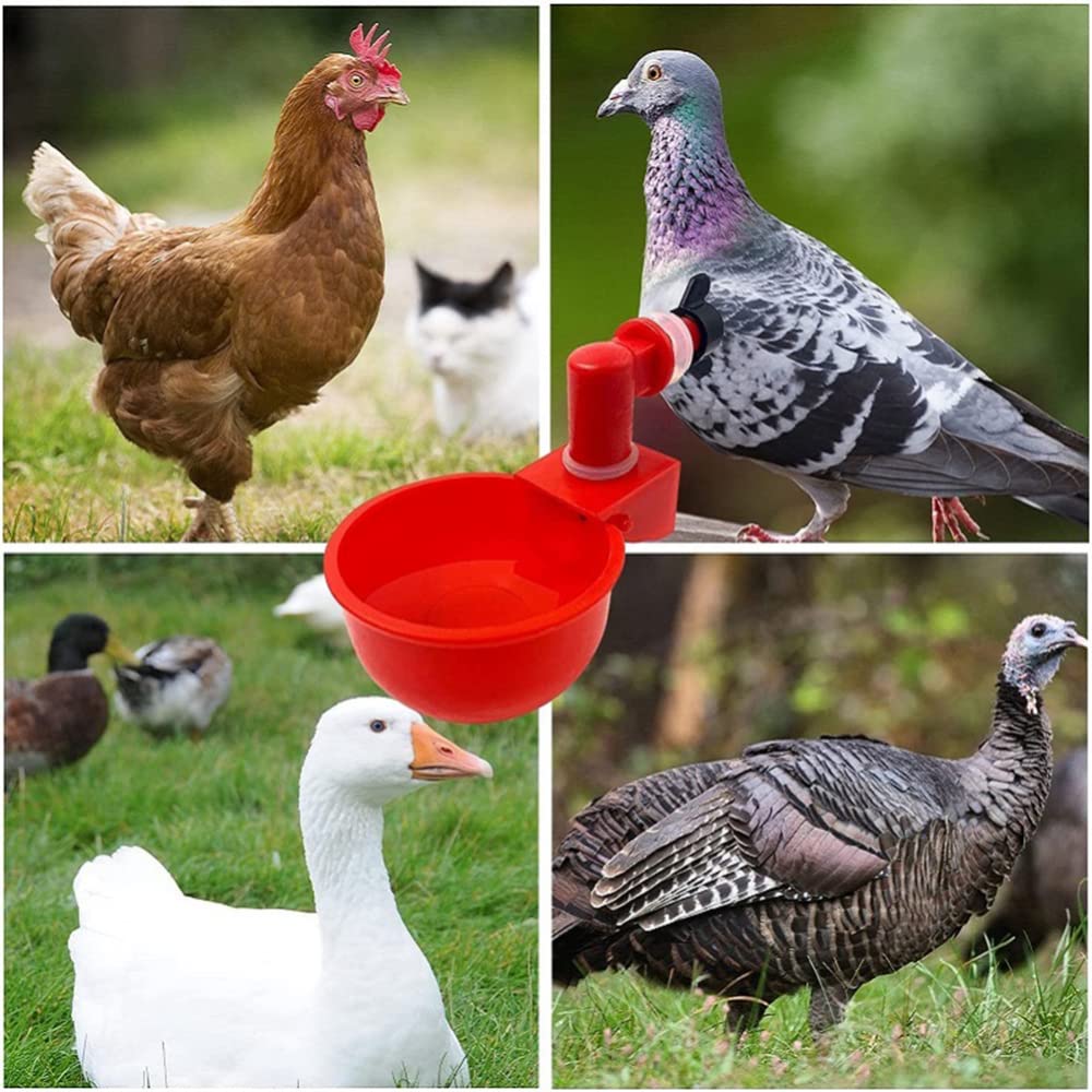 10Pcs Automatic Chicken Water Cups - Poultry Drinking Bowls for Chickens, Ducks, Geese & Turkeys | Durable Plastic Waterer for Coops & Backyard Farms | Perfect for Small to Medium Flocks