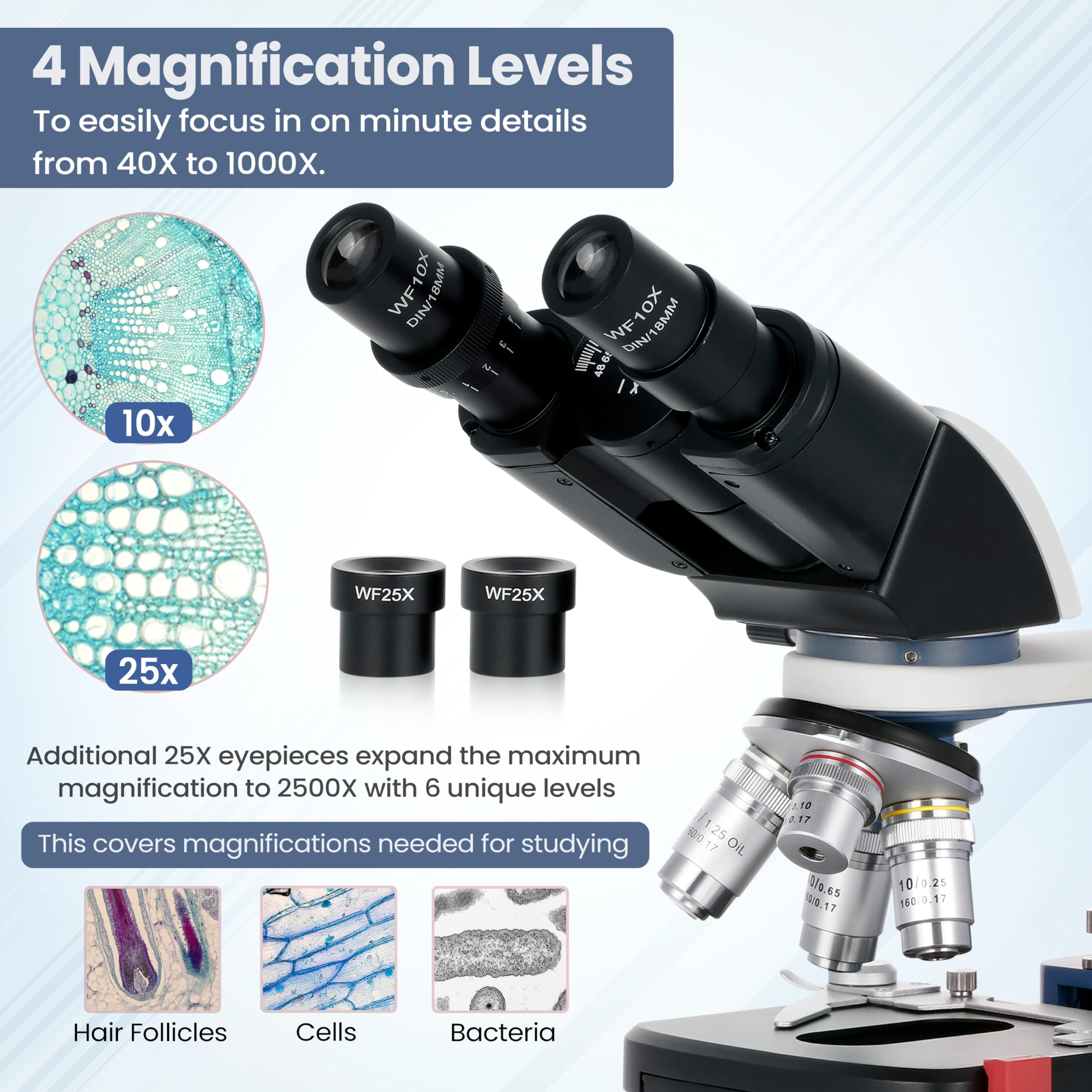 AmScope B120C-R 40X-2500X USB-C Rechargeable Student Binocular Microscope with 3D Mechanical Stage & LED Light - Perfect for Home Schooling, Science Labs & Biology Studies