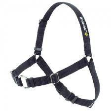 SENSEible No-Pull Dog Harness - Adjustable & Reflective Pet Vest for Small, Medium, Large Dogs | Multiple Colors | Perfect for Walking, Running, Hiking & Outdoor Adventures