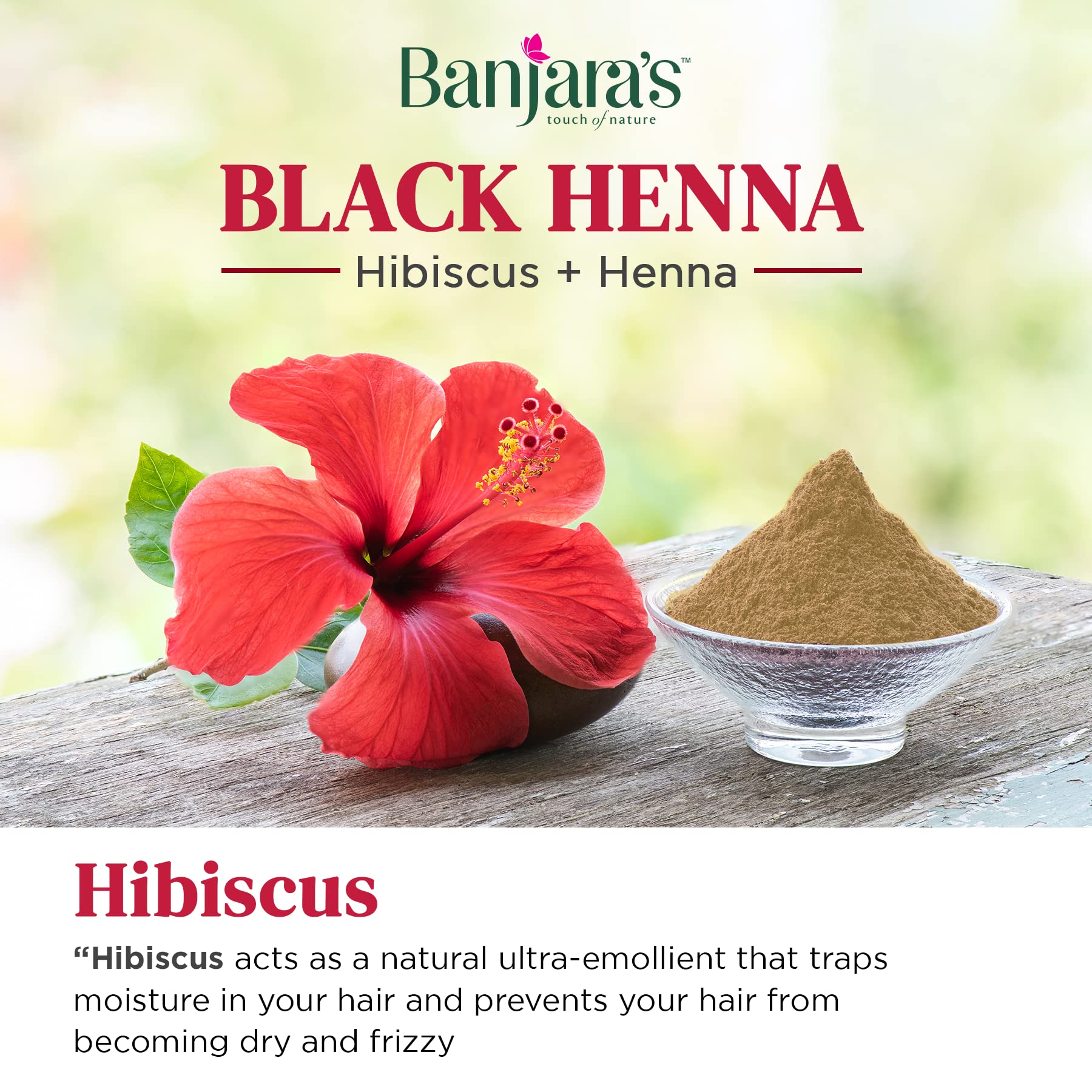 Banjara's Natural Henna Hair Color Powder with Hibiscus - 10g Sachets (Pack of 24) | Ammonia-Free, Long-Lasting Black Hair Dye | Herbal Hair Coloring for Women & Men | Perfect for Gray Coverage & Natural Hair Treatment at Home