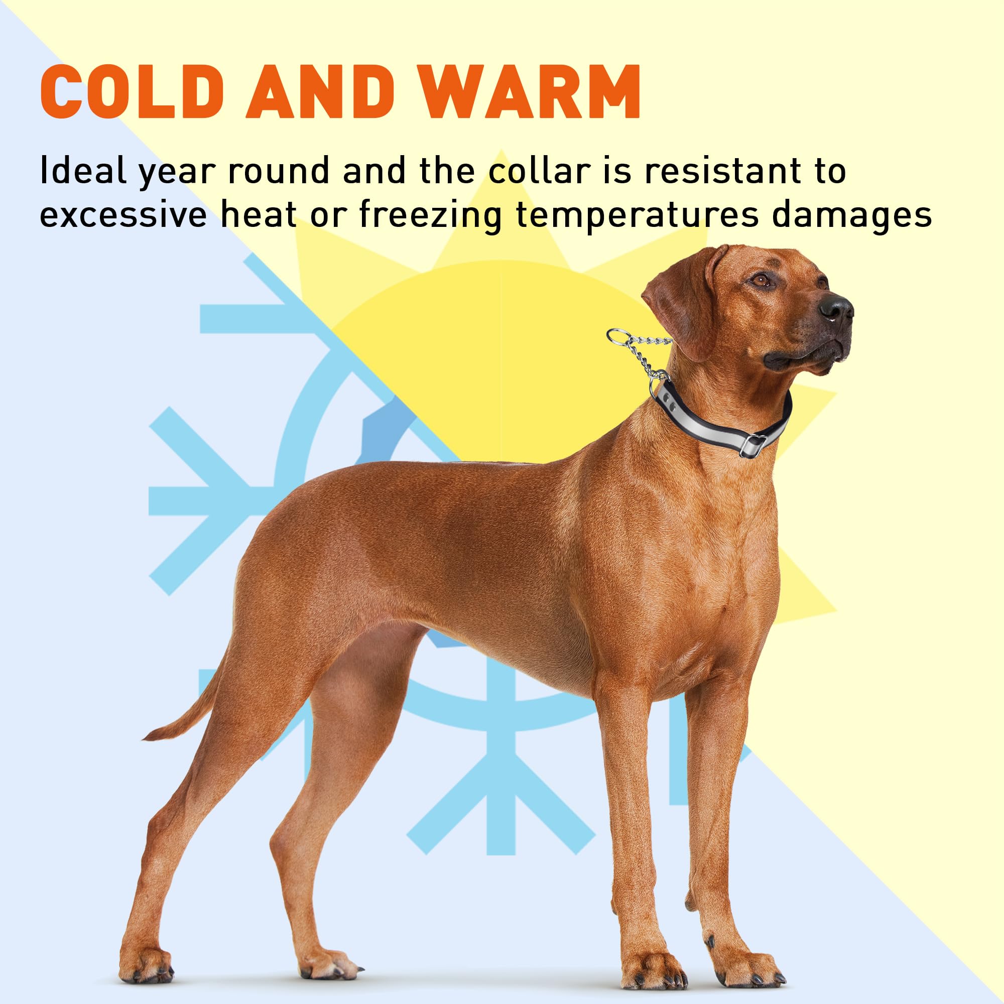 Premium Waterproof BioThane Martingale Dog Collar – Adjustable Reflective Safety Collar for Training & Walks – Lightweight & Comfortable – Easy to Clean – Ideal for Outdoor Adventures, Hiking & Nighttime Visibility