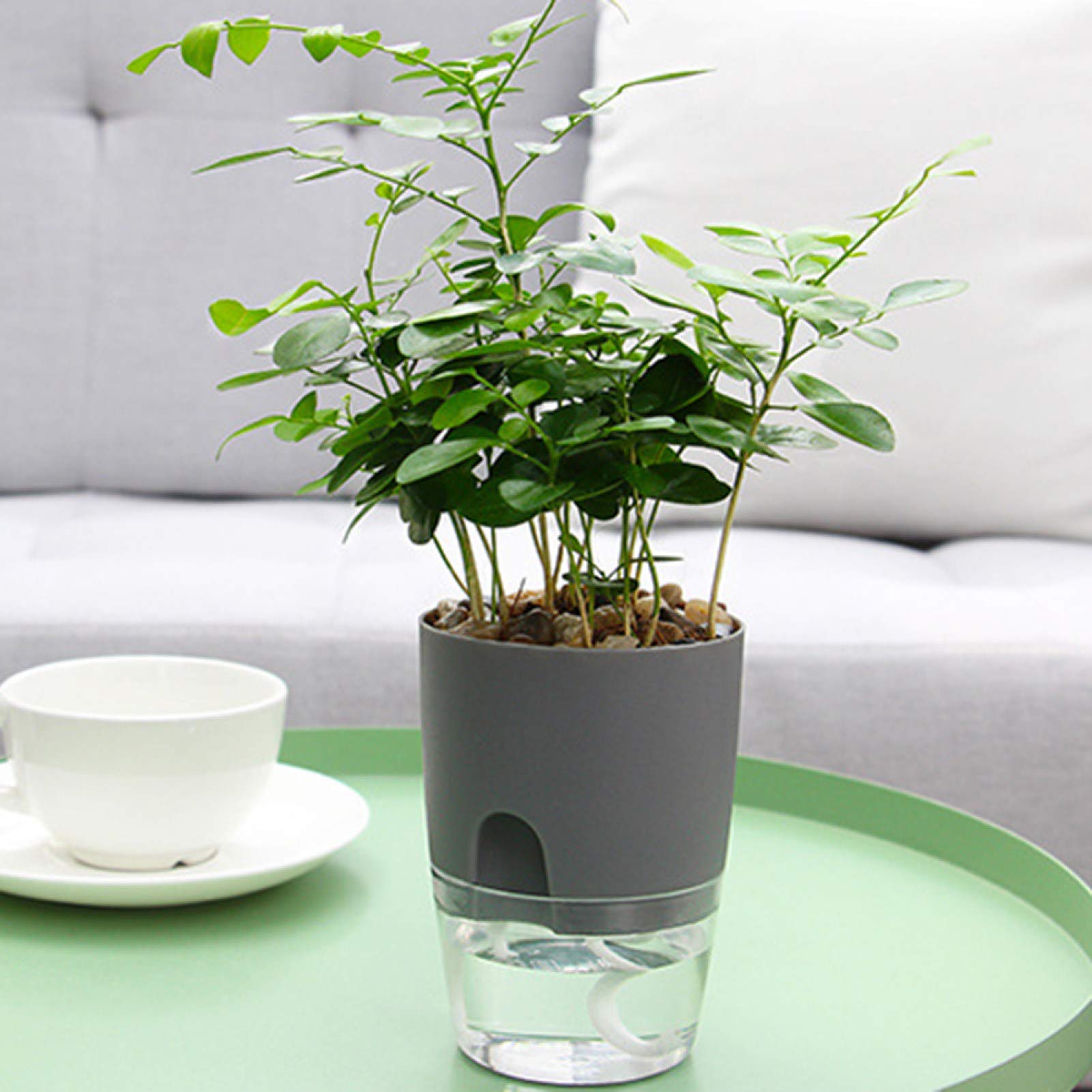 Self Watering Planter - Round Resin Flower Pot for Indoor Plants, Home & Office Decor (4 Inch) - Perfect for Succulents, Herbs and Small Houseplants