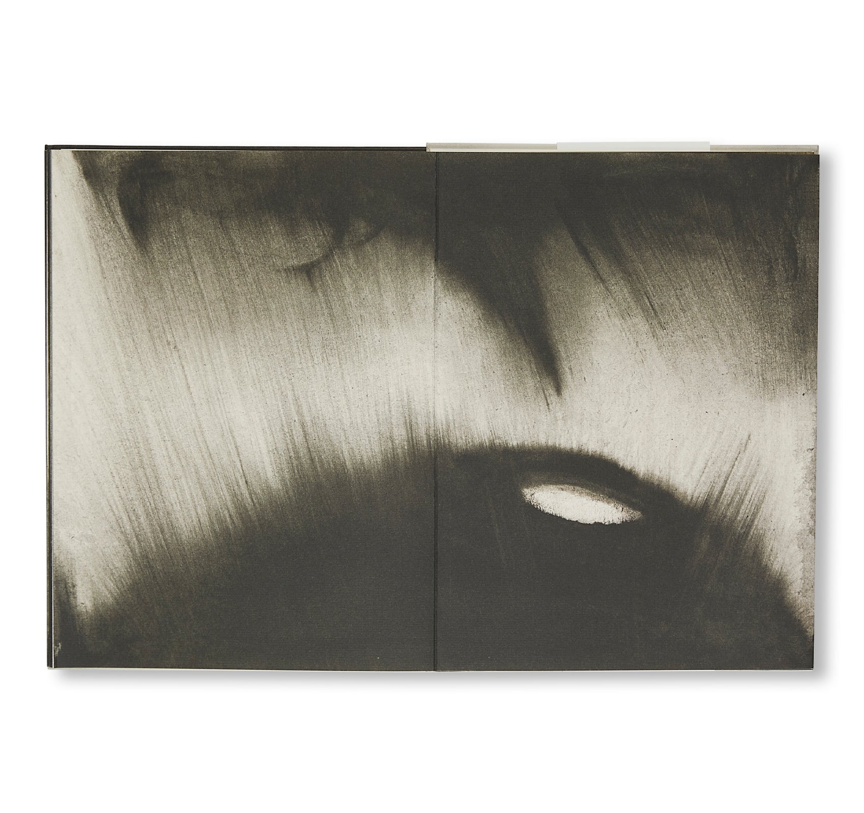 Anish Kapoor Art Book - Contemporary Sculpture Masterpieces | Perfect for Modern Art Collectors & Museum Enthusiasts
