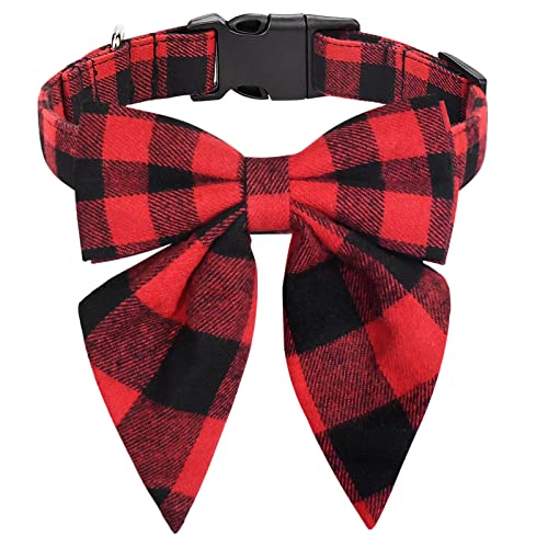 Red & Black