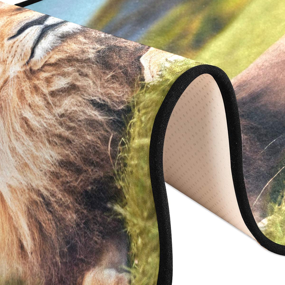 ALAZA Lion Landscape Nature Scenery Collection Area Rug - 2' x 6' Non-Slip Floor Mat for Living Room, Bedroom, Kitchen - Perfect for Home Decor, Pet Play Area & Kids Room
