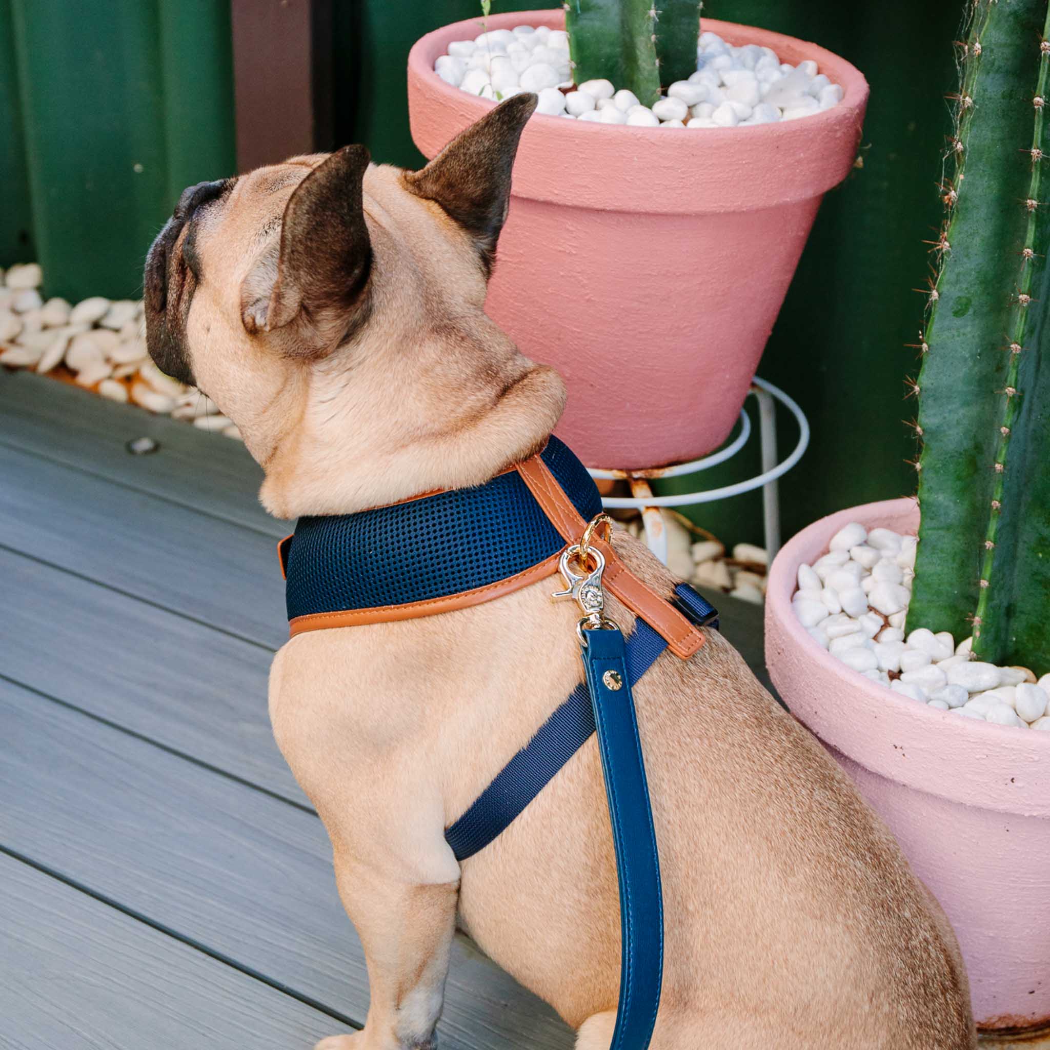 Premium Navy Blue Dog Harness with Tan Trim - Adjustable, Reflective & Padded for Small to Large Dogs - Perfect for Walking, Hiking & Outdoor Adventures