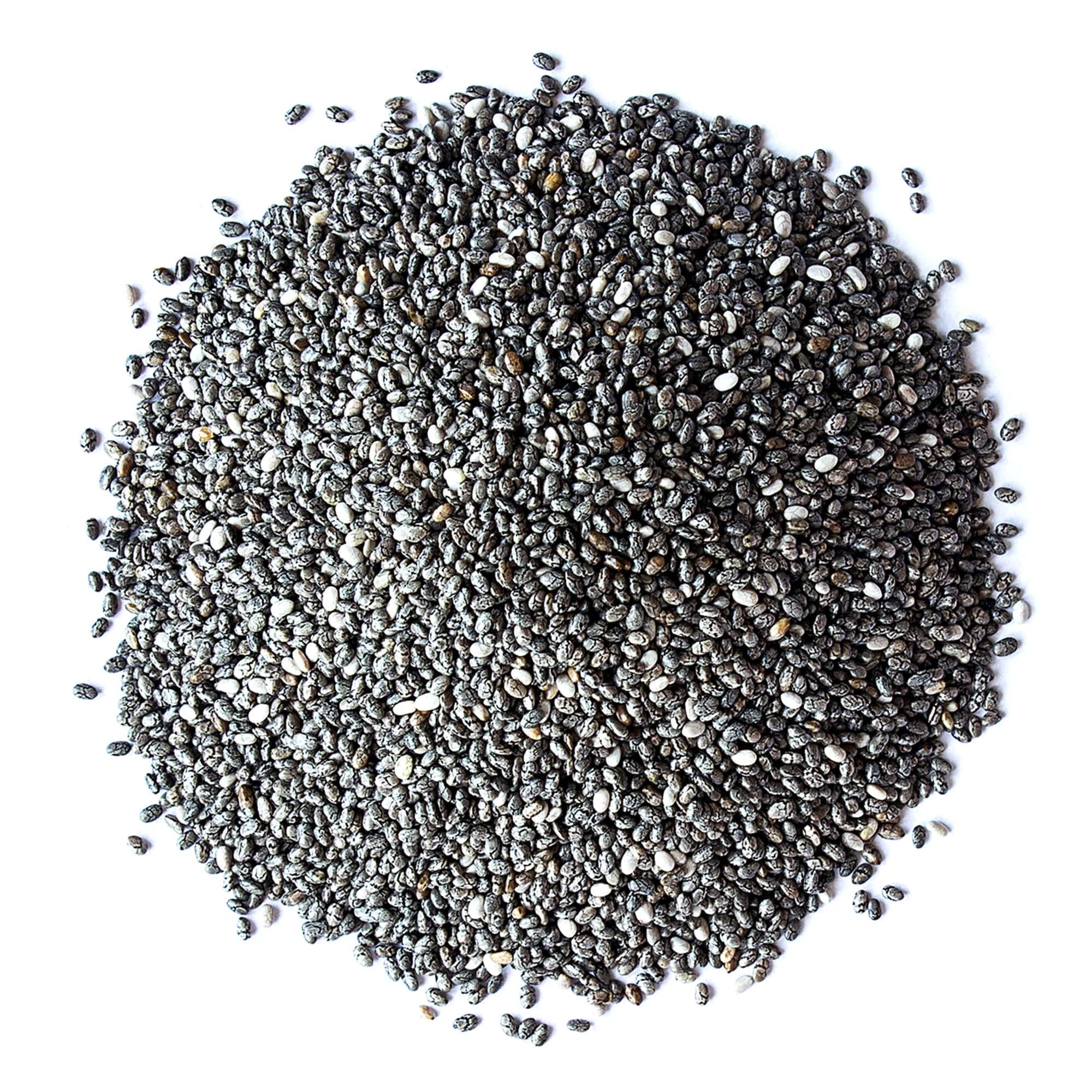 Organic Black Chia Seeds - Non-GMO, Whole, Sproutable, Vegan, Kosher, Keto & Sirtfood Friendly - 2.5 Pound Bulk Bag | Rich in Omega-3, Fiber & Protein | Perfect for Smoothies, Baking & Healthy Snacks