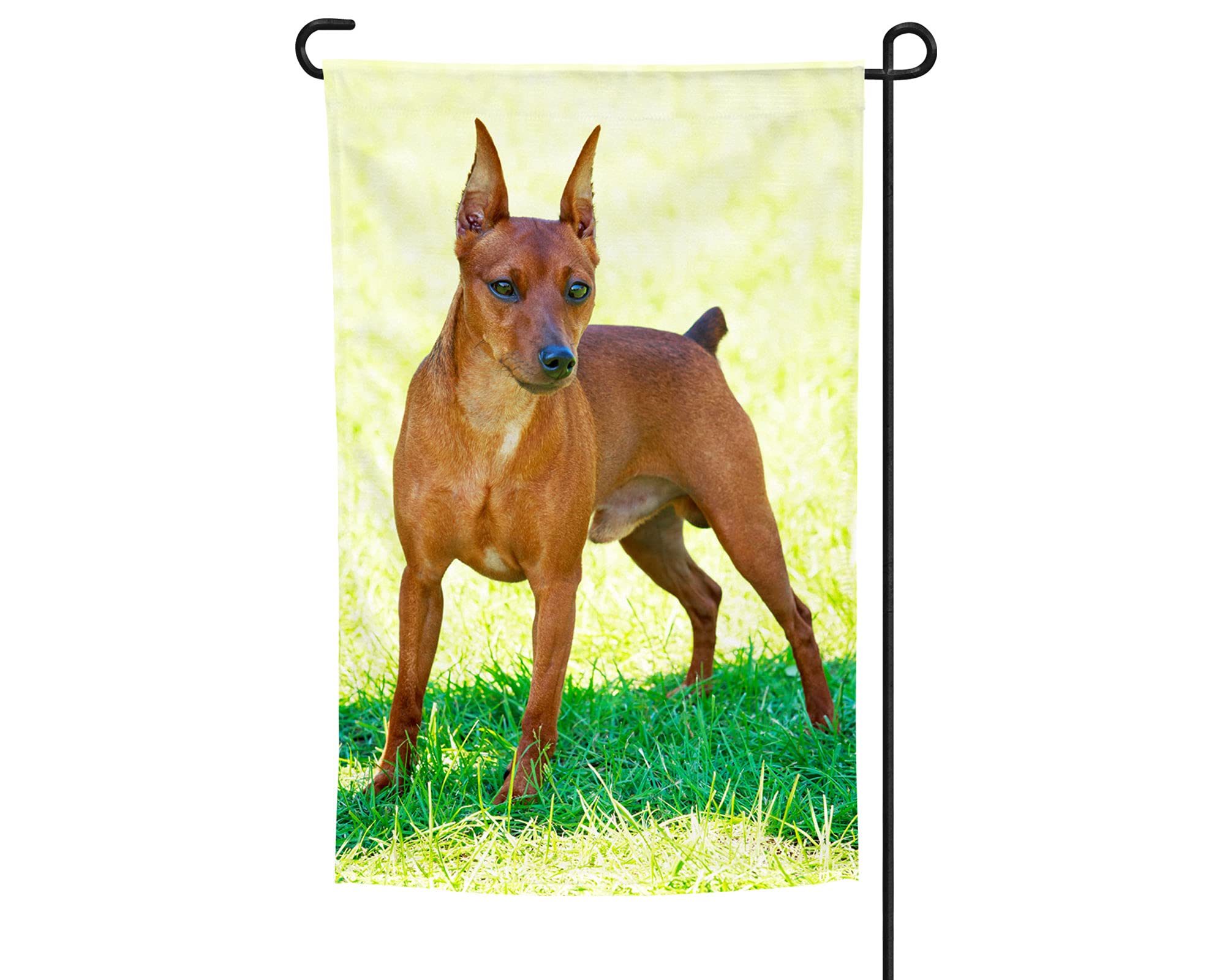 Miniature Pinscher Garden Flag - Cute Dog Decor for Outdoor & Indoor Use - Perfect Gift for Miniature Pinscher Lovers - Durable Min Pin Themed Yard Banner for Patio, Lawn, or Home Decoration