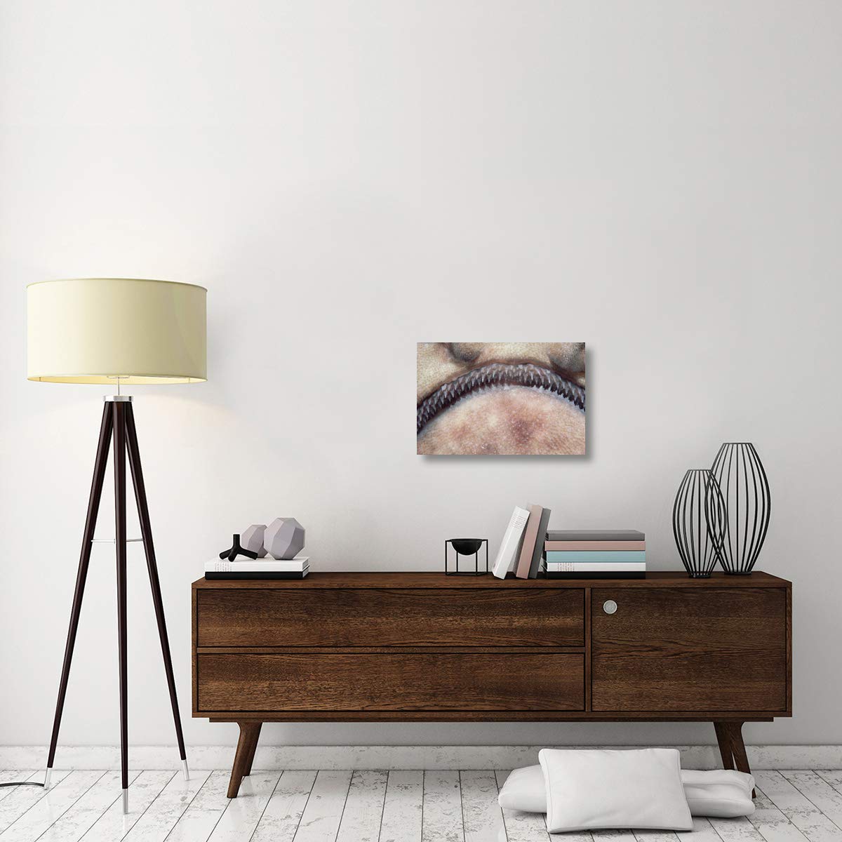 Global Gallery Swell Shark Teeth Close-Up Canvas Art Print - 24x16 Inch Wall Decor for Living Room, Office & Beach House