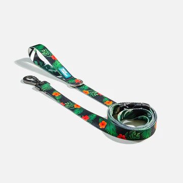 Premium Reflective Dog Leash with Comfortable Padded Handle - Strong Durable Nylon Pet Walking Lead for Small Medium Large Dogs - Perfect for Night Walks, Jogging & Outdoor Adventures