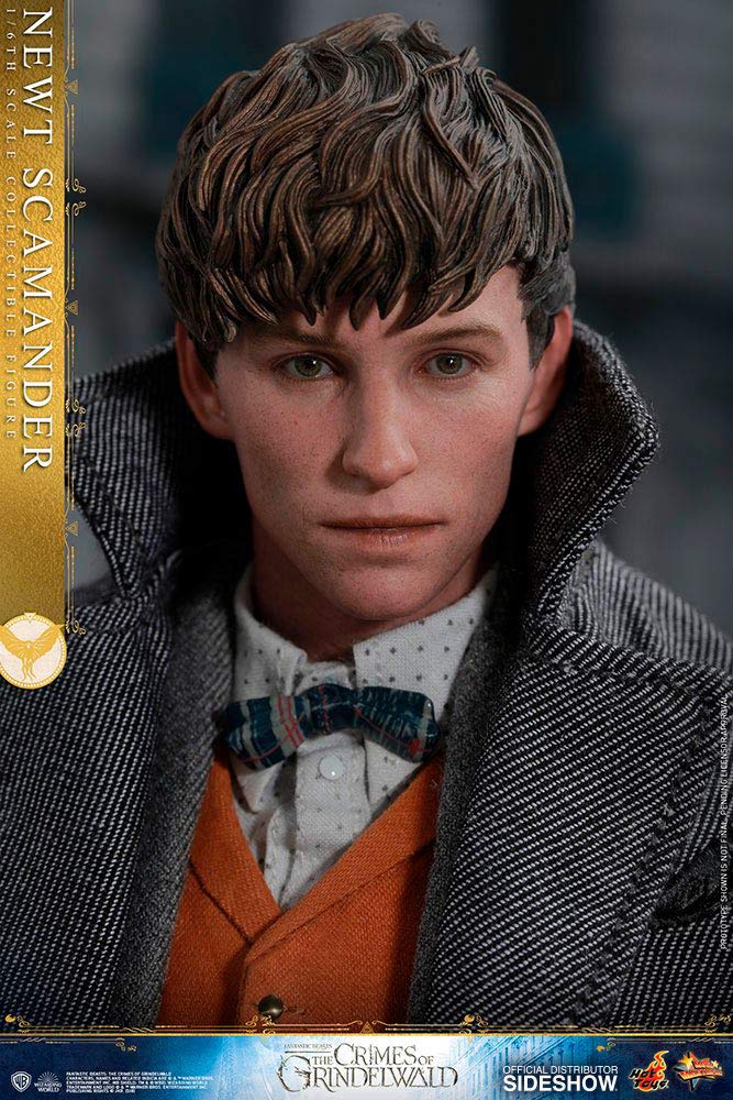 Hot Toys 1:6 Scale Newt Scamander Collectible Action Figure - Fantastic Beasts: The Crimes of Grindelwald Movie Character Model - Perfect for Display, Gift Giving, and Fantasy Collectors