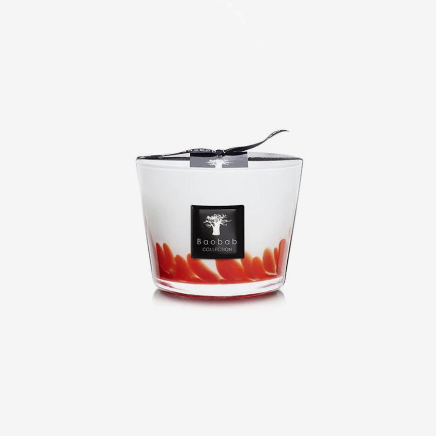 Baobab Collection Feathers Maasai Scented Candle - Handmade Luxury Soy Wax Candle with Exotic Fragrance for Home Decor, Relaxation & Gift Giving