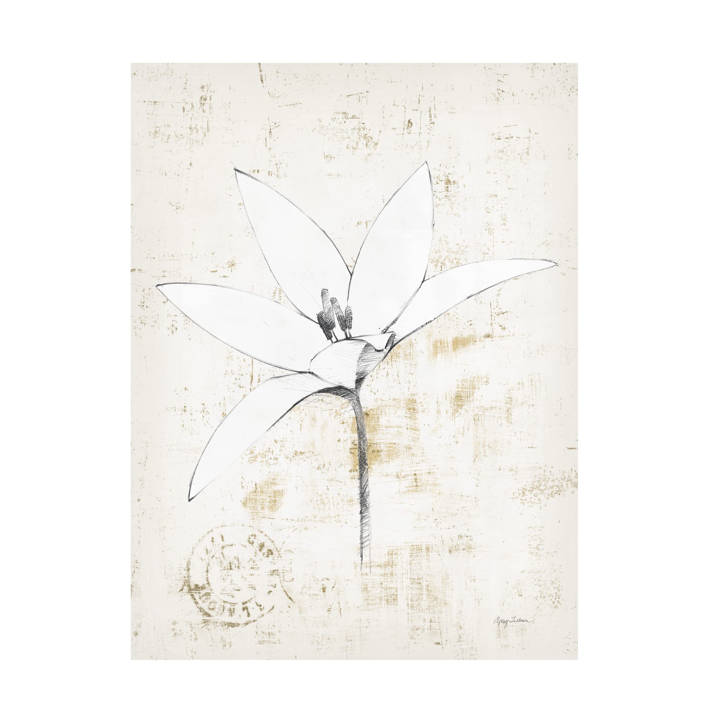 Trademark Fine Art 'Pencil Floral XII Gold' Canvas Wall Art by Avery Tillmon - Elegant Floral Painting for Living Room, Bedroom & Office Decor