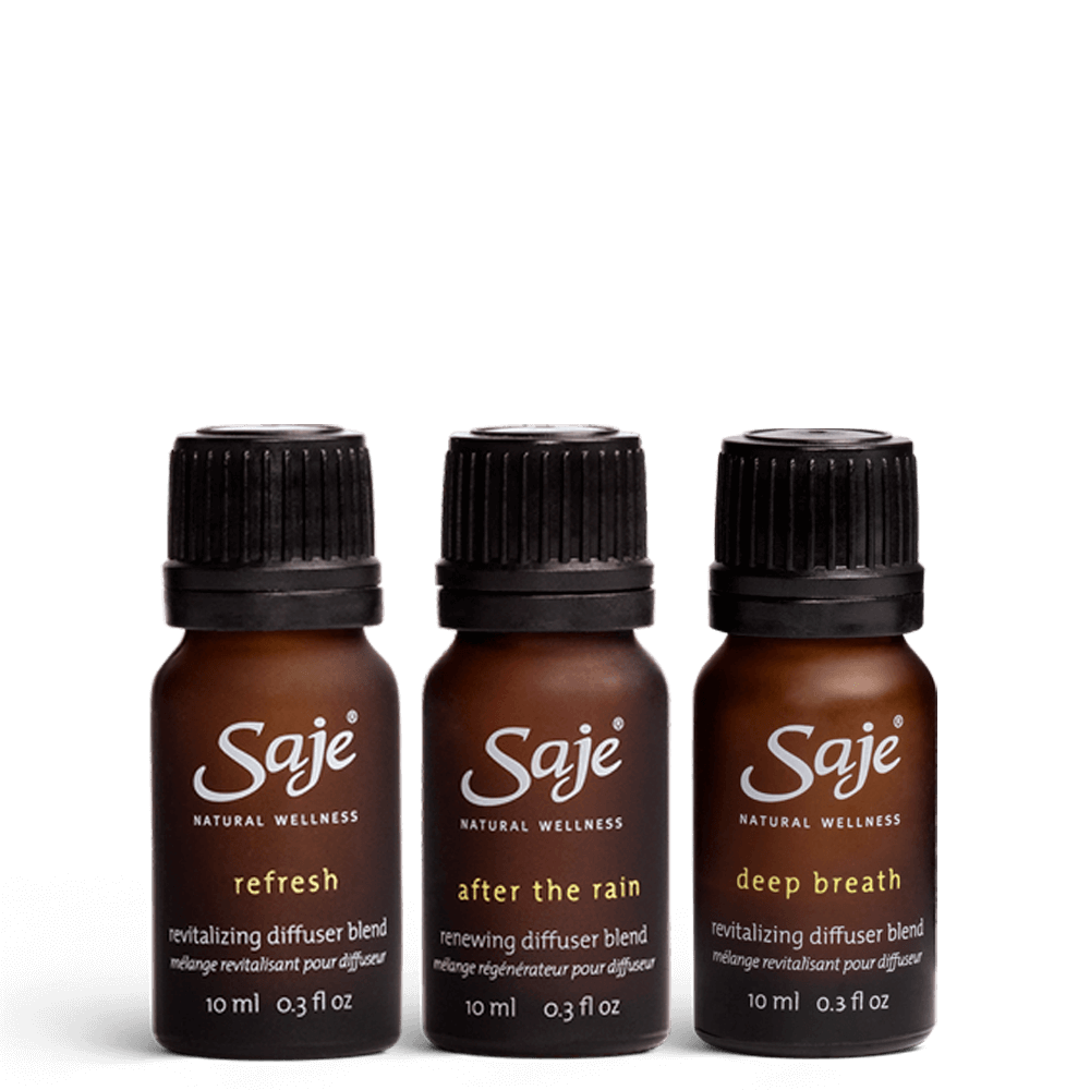 Hit Refresh Minty Bliss Essential Oil Diffuser Blend Trio - Aromatherapy for Relaxation, Stress Relief & Home Fragrance