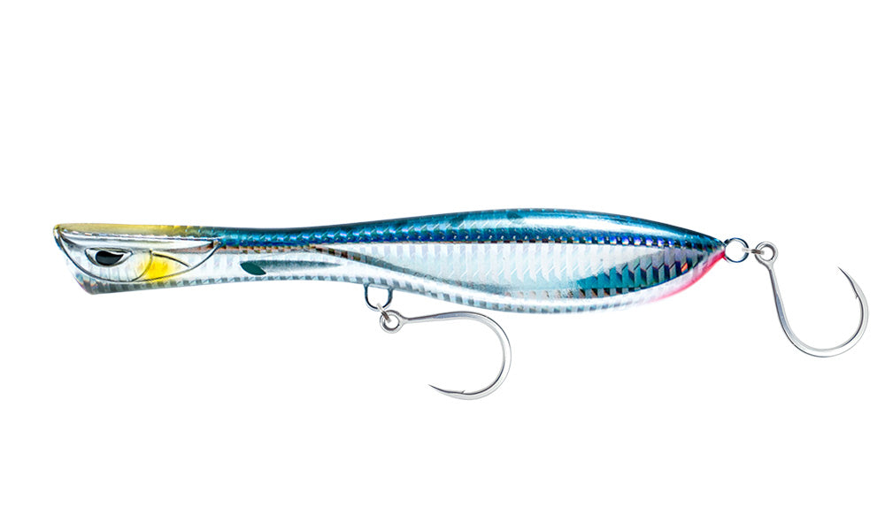 Sardine
