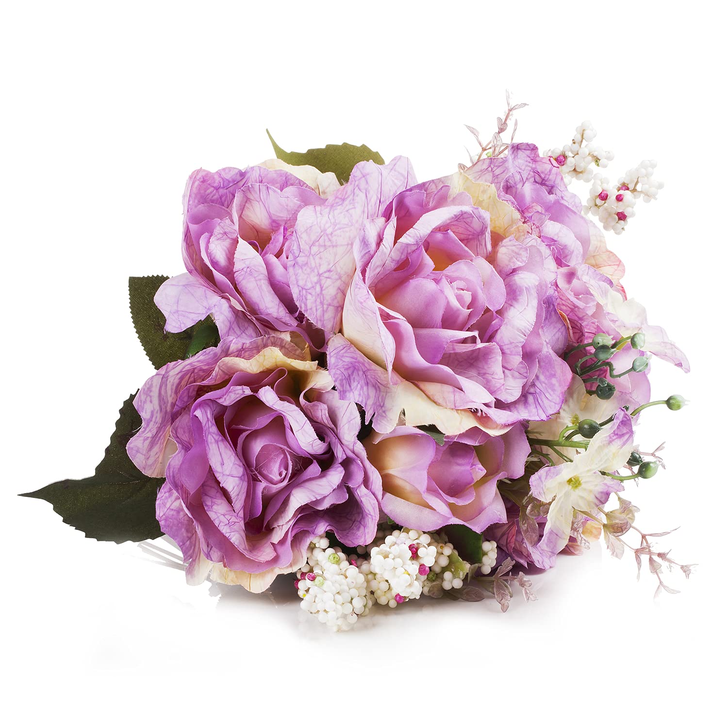 Enova Floral 20