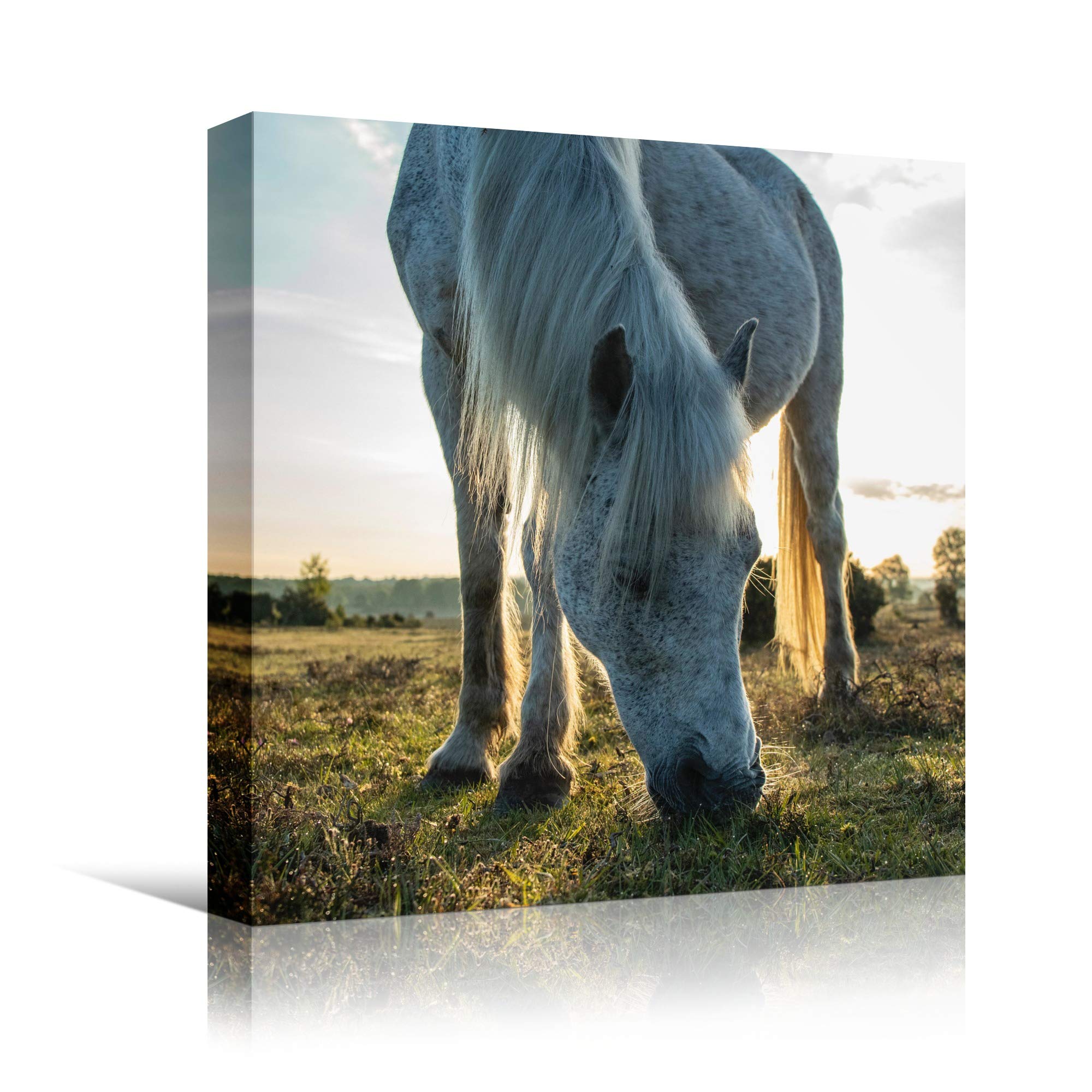 Premium Horse Photography Wall Art Print - 24x24 Inch Farmhouse Country Decor for Living Room & Bedroom - Ready to Hang Animal Artwork - Perfect for Western, Equestrian or Rustic Home Decor