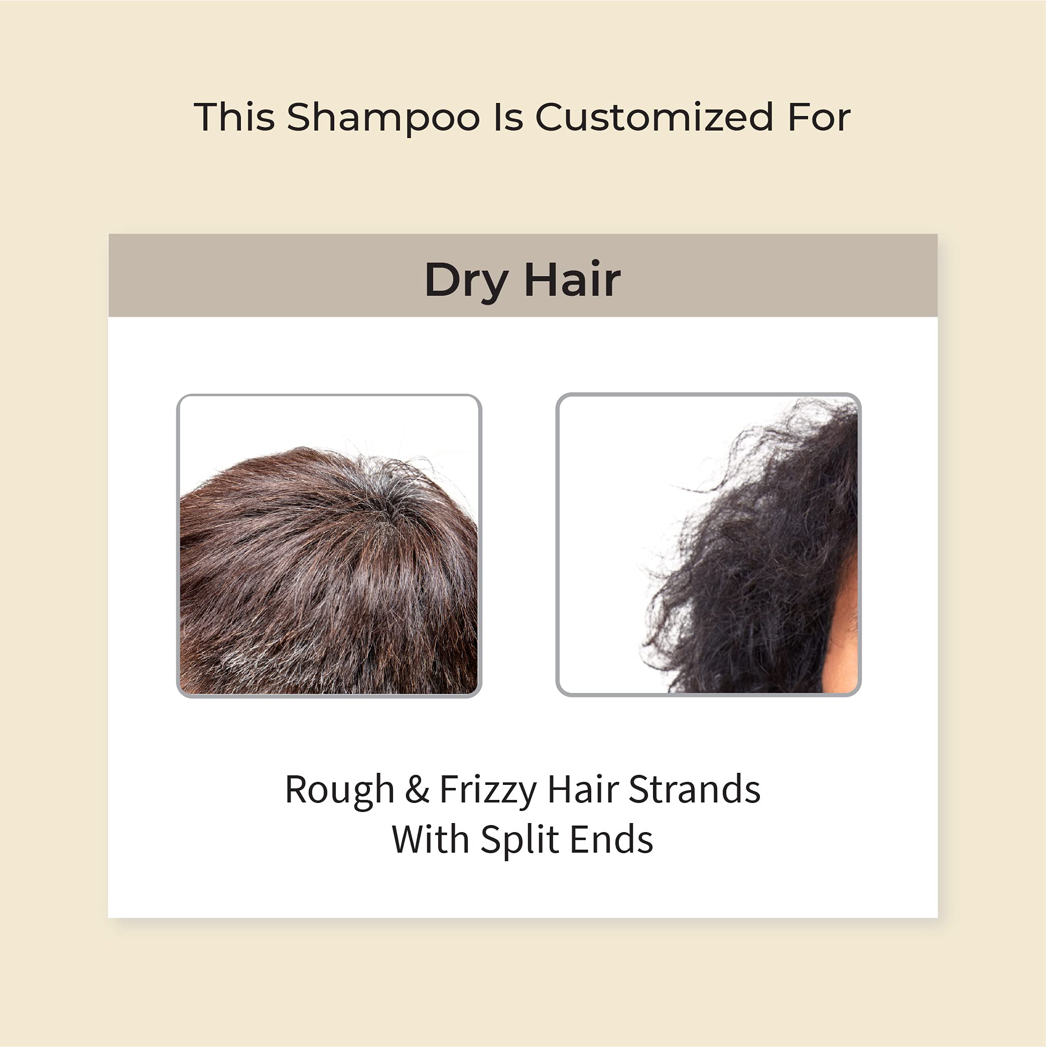 Vedix Ayurvedic Shampoo for Dry Frizzy Hair - Sulfate Free Customized Deep Conditioning Shampoo for Men with Wheat Germ, Jojoba & Yashtimadhu - 100ml - Perfect for Daily Hair Care & Scalp Nourishment