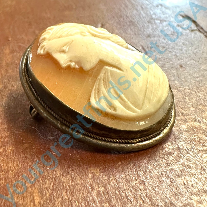 Vintage Italian Carved Shell Cameo Pin Pendant - Elegant Antique Jewelry for Women, Perfect for Weddings, Parties & Special Occasions