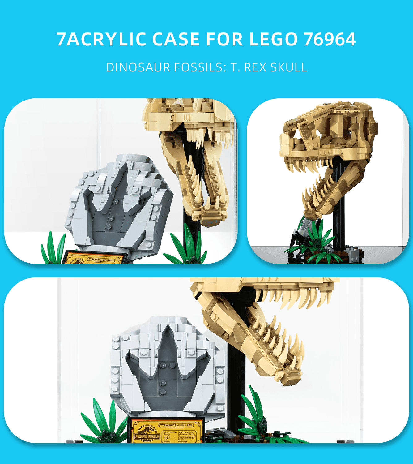 LEGO Dinosaur Fossils Display Case for T. rex Skull 76964 - Perfect for Showcasing Collectible LEGO Sets at Home or Office
