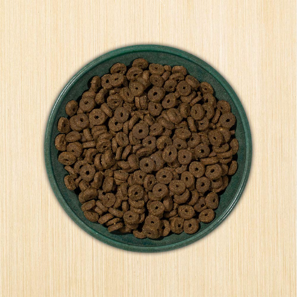 Annamaet Grain-Free Dry Cat Food - Chicken & Fish Recipe, 12 lb Bag - High Protein, Natural Ingredients for Indoor & Outdoor Cats - Perfect for Weight Management & Healthy Digestion