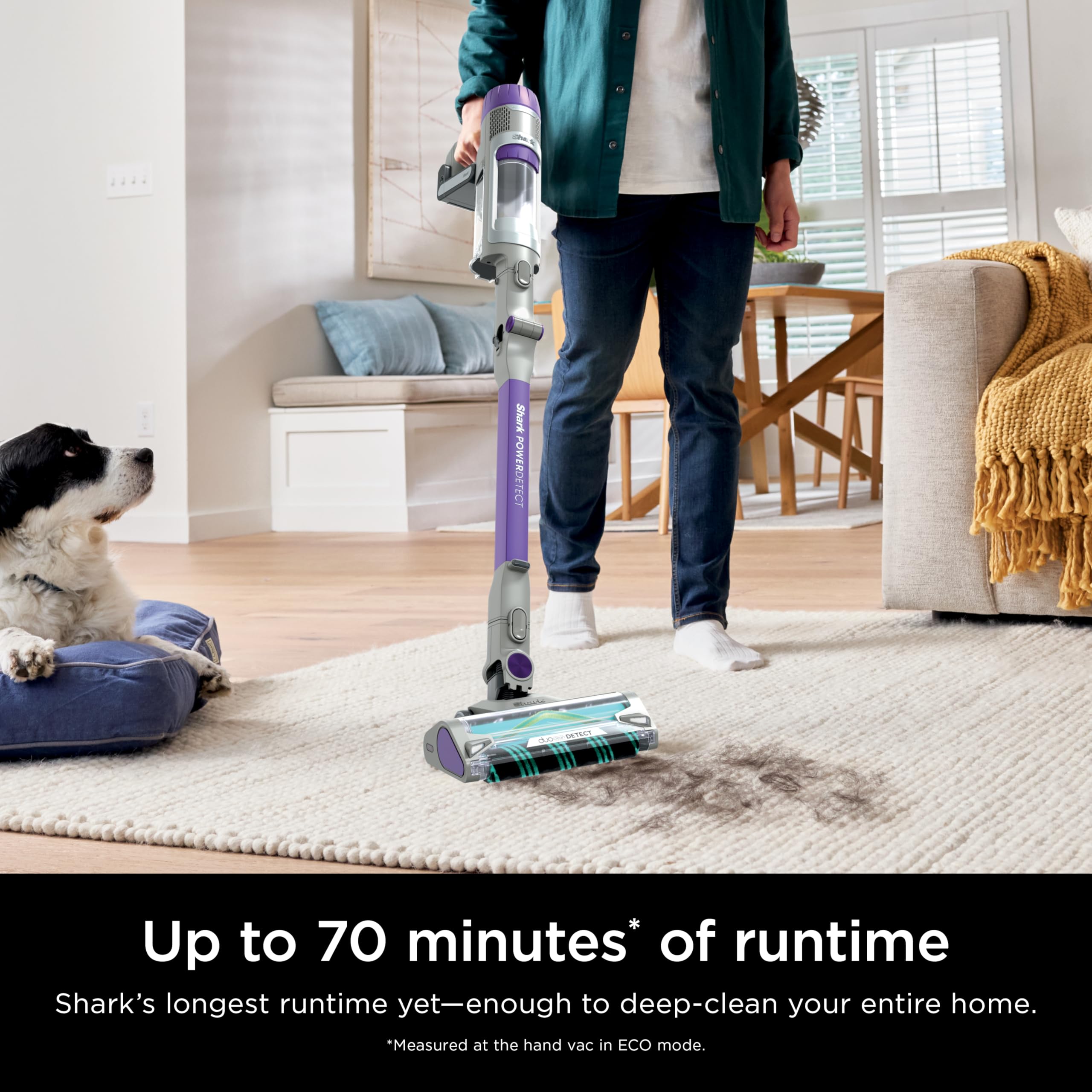 Shark PowerDetect Cordless Stick Vacuum Cleaner with HEPA Filtration - 70 Min Runtime, Powerful Suction for Pet Hair, Carpets & Hard Floors - XL Dust Cup, Lightweight & Portable (Dark Gray, IP1251) - Perfect for Home Cleaning, Quick Pickups & Pet Owners