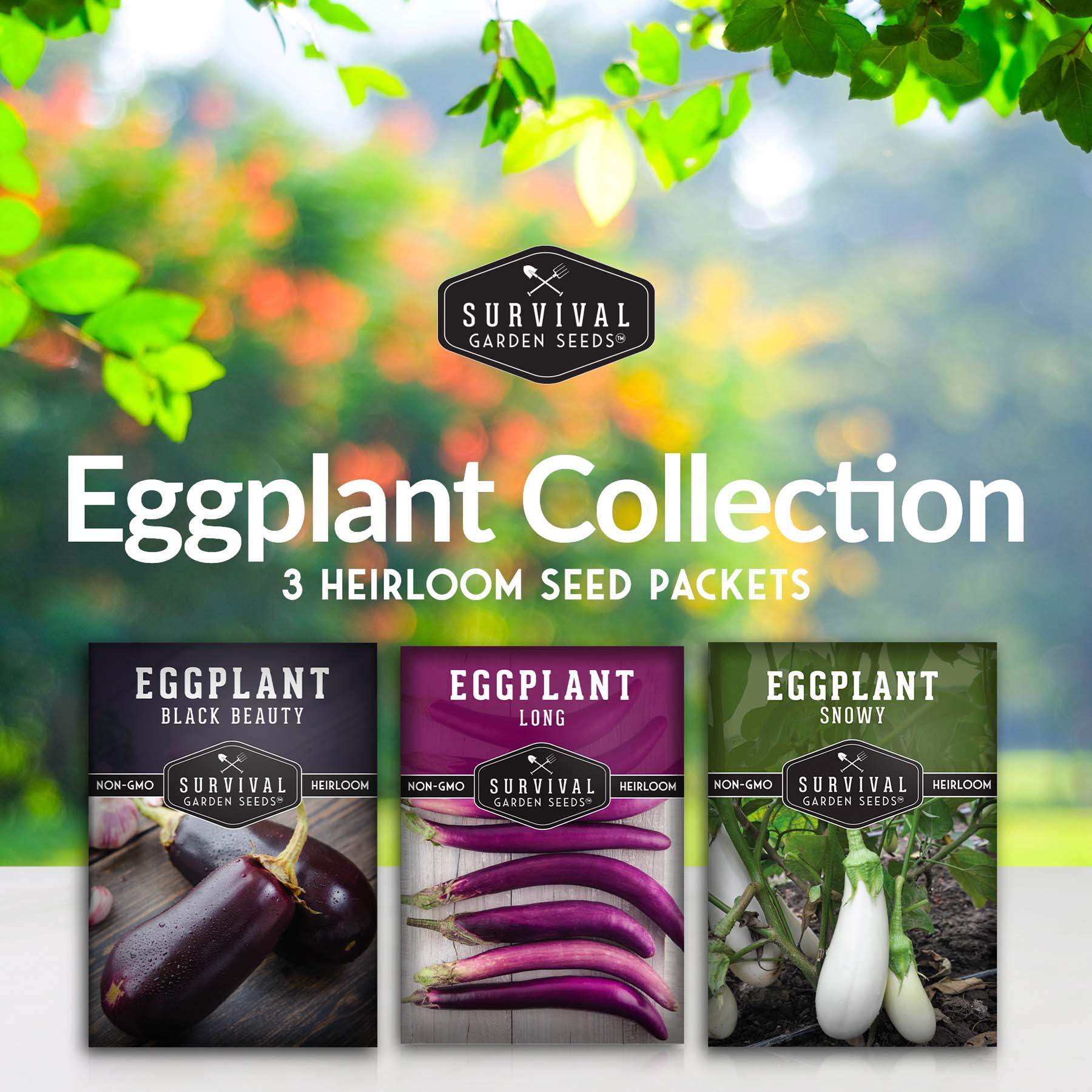 Premium Eggplant Seeds Collection - Snowy, Long Purple & Black Beauty Varieties for Home Gardening & Organic Farming