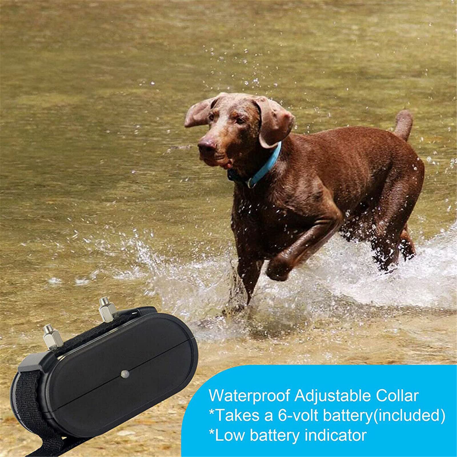 Electric Dog Fence System - 300m In-Ground Pet Containment with Waterproof Training Collar | Shock & Tone Correction | Safe & Harmless for All Dogs | Perfect for Backyard & Large Yard Dog Training