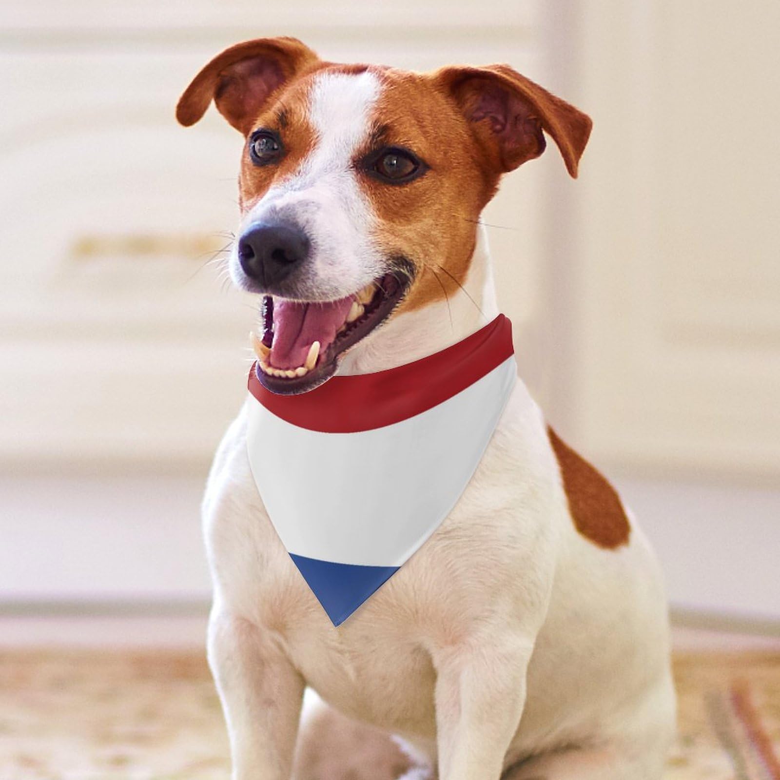 Netherlands Flag Dog Bandana - Cute Pet Scarf & Bib for Small Medium Large Dogs - Christmas Thanksgiving Holiday Gift - Perfect for Dutch Heritage Celebrations & Pet Costume Parties