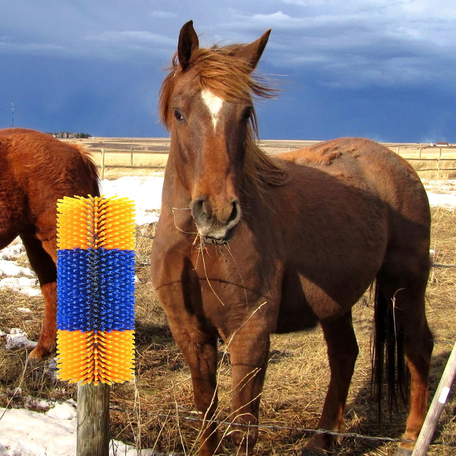 **Livestock Grooming Brush Set - 2 Pack Universal Horse, Cow, Pig, Goat Massage & Sweat Scraper Kit for Itch Relief & Coat Care - Perfect for Barn, Stable & Farm Animal Care**