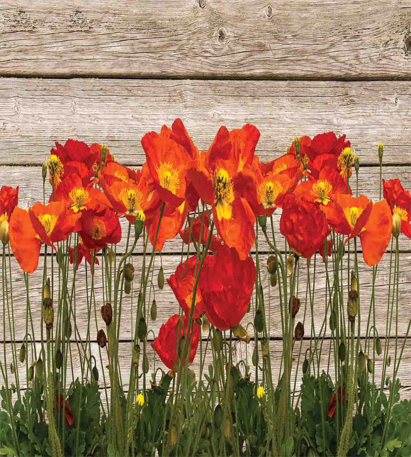 Ambesonne Rustic Duvet Cover Set - Twin Size 2-Pack with Floral Poppy Petals Design in Orange & Brown | Includes 2 Duvet Covers & 2 Pillowcases | Perfect for Summer Bedroom Decor, Farmhouse Style, and Cozy Guest Room Setup