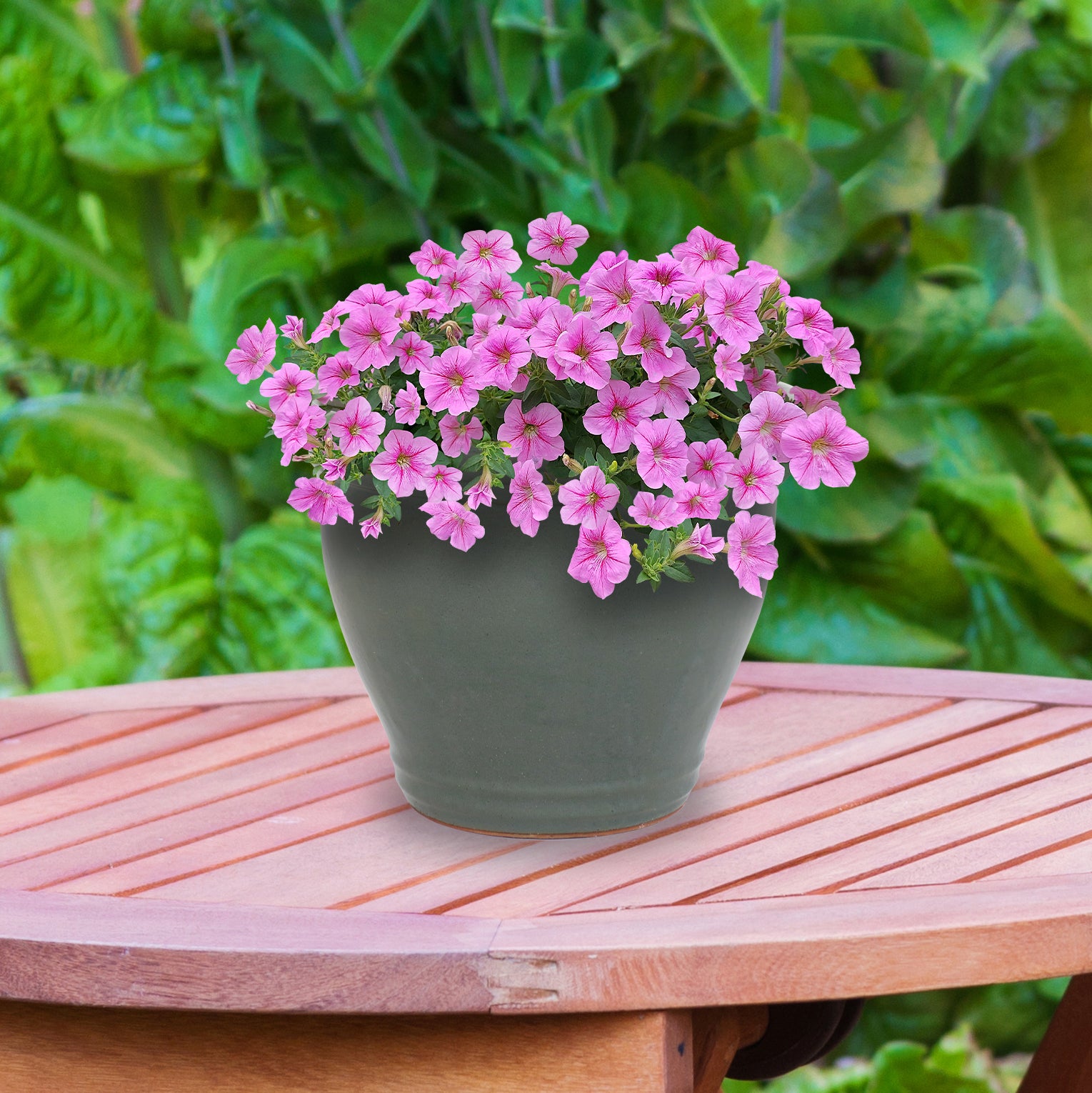 Sunnydaze Studio Round Glazed Ceramic Planter with Drainage Hole - Indoor Outdoor Flower Pot for Plants, Succulents, Herbs - Perfect for Patio, Garden, Balcony Decor