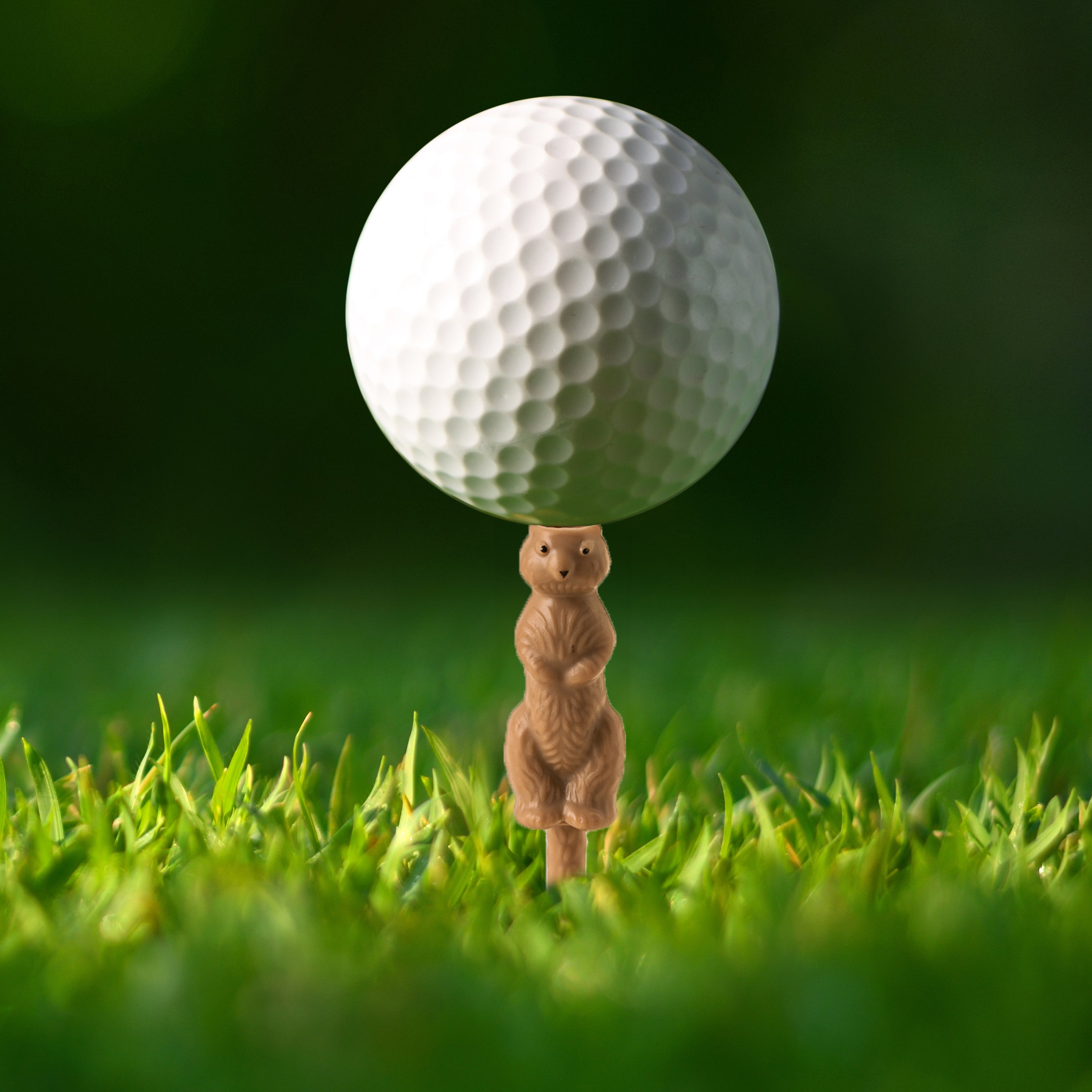 Premium Gopher The Caddie Golf Tee - Durable Plastic Golf Accessories for Driving Range & Course Play - Perfect for Golf Training & Practice Sessions