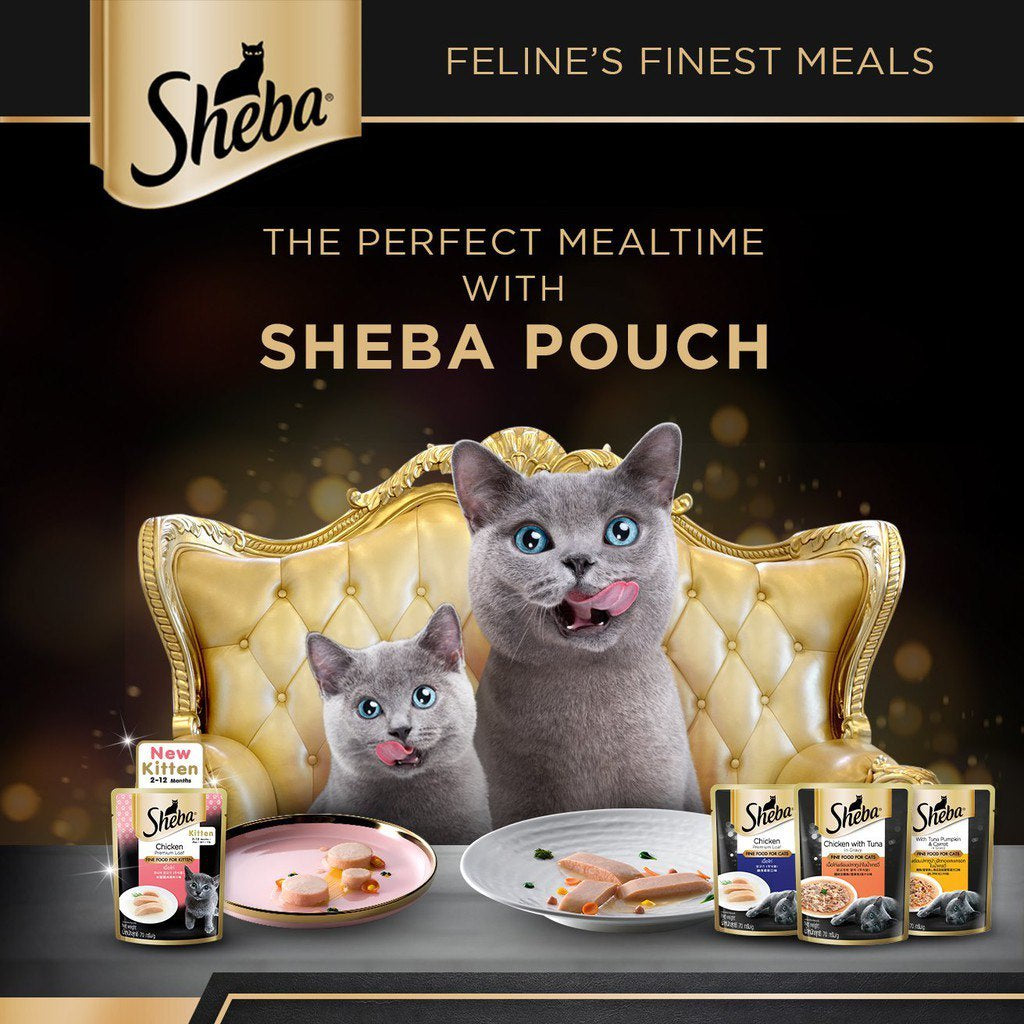 Sheba Premium Wet Cat Food Pouches - Nutrient Rich, Grain Free, 24 Pack (70g Each) - Perfect for Adult Cats & Kittens, Ideal for Mealtime & Travel