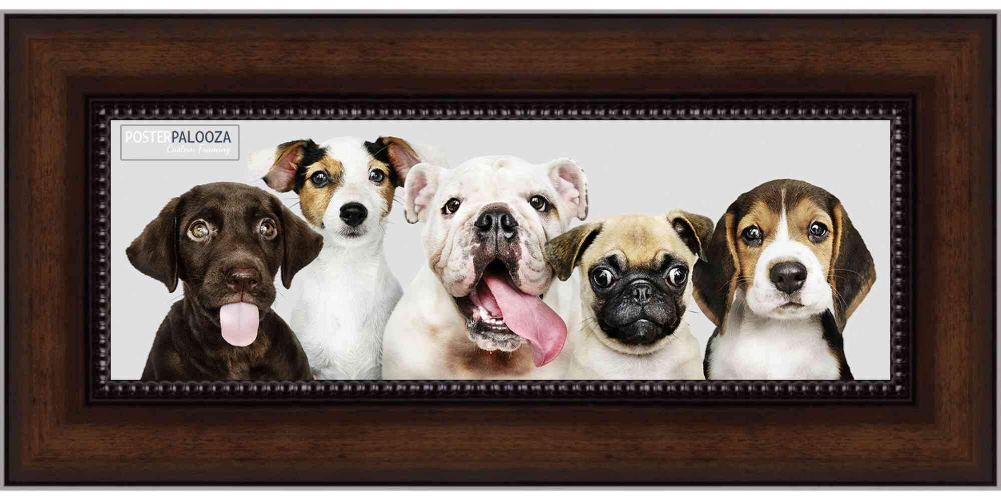24x8 Traditional Walnut Wood Picture Frame with UV Acrylic, Foam Board Backing & Hanging Hardware - Perfect for Posters, Art Prints, and Home Decor