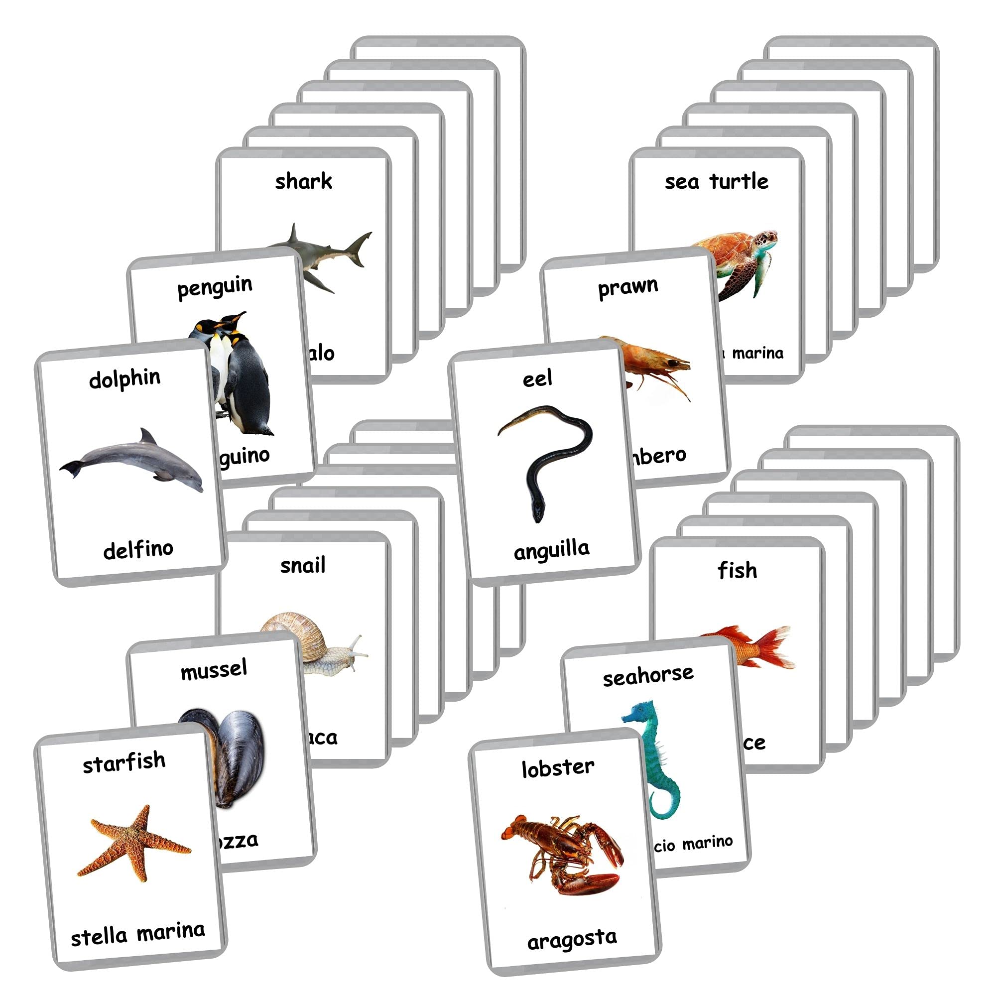 Sea Animals Flash Cards - 26 Laminated Ocean & Water Animal Flashcards for Homeschooling | Bilingual English + Italian Learning Cards | Educational Toys for Kids Classroom & Home Use