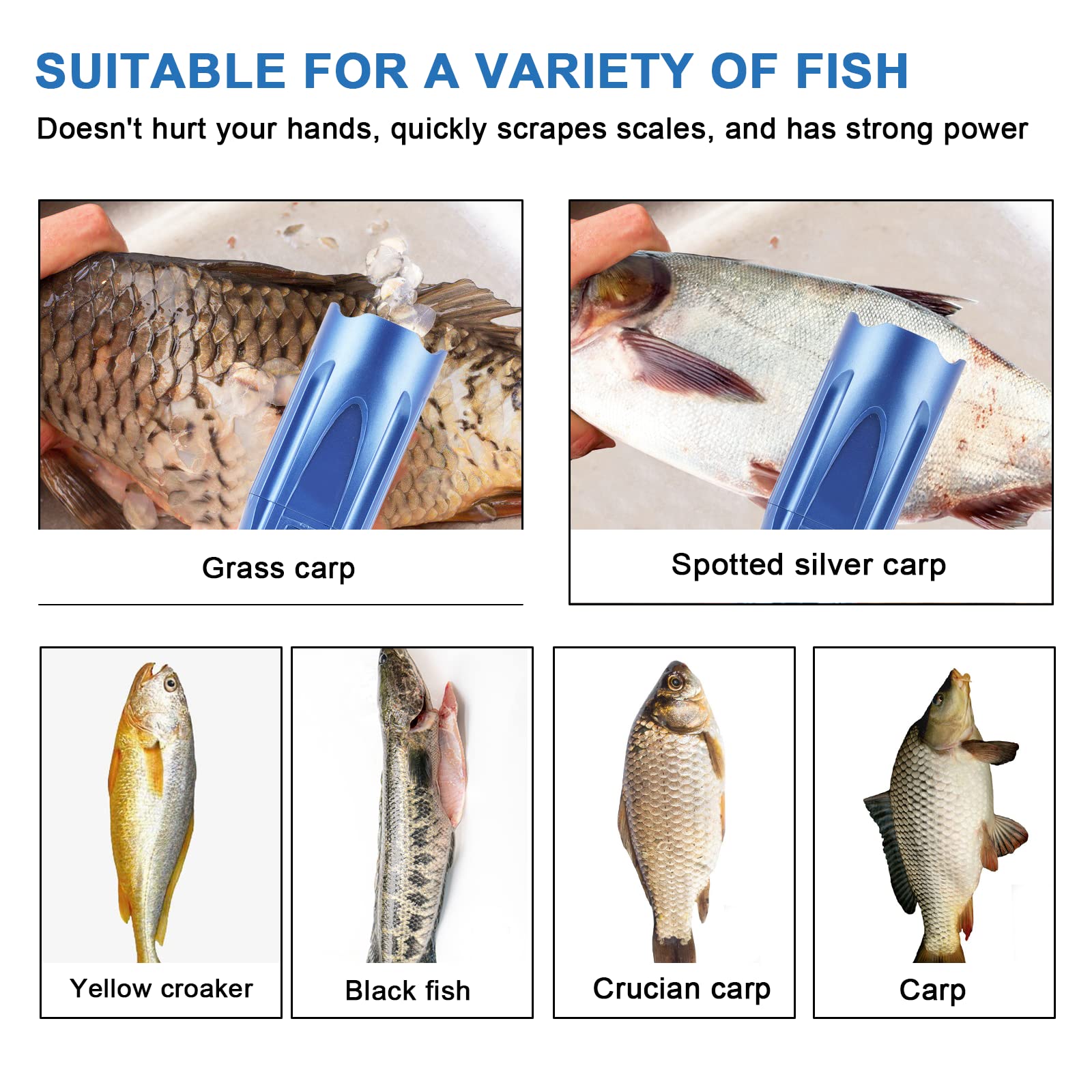 MXBAOHENG Cordless Electric Fish Scaler - 2600mAh Rechargeable Battery, Waterproof Brushless Motor Fish Scale Remover Cleaner with Built-in Scraper - Perfect for Home Kitchen, Fishing Trips & Outdoor Cooking