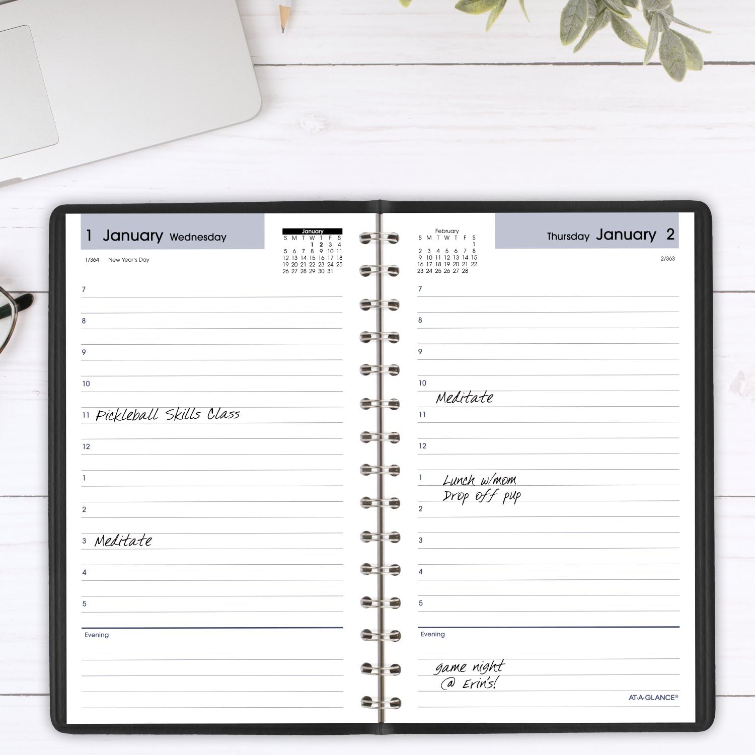 AT-A-GLANCE 2025 Daily Appointment Book Planner - 5