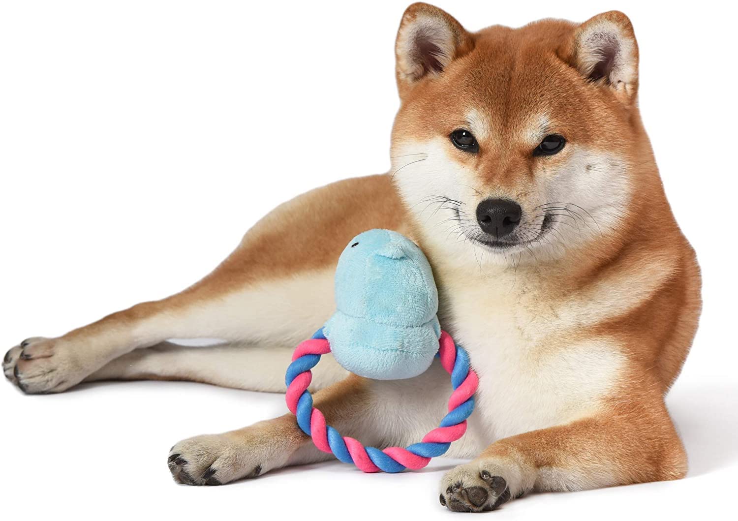 Peeps Squeaky Rope Dog Toys for Small & Medium Dogs - Blue Chick Design, Durable Chew Toy for Puppies & Adult Dogs - Perfect for Fetch, Tug of War & Interactive Playtime