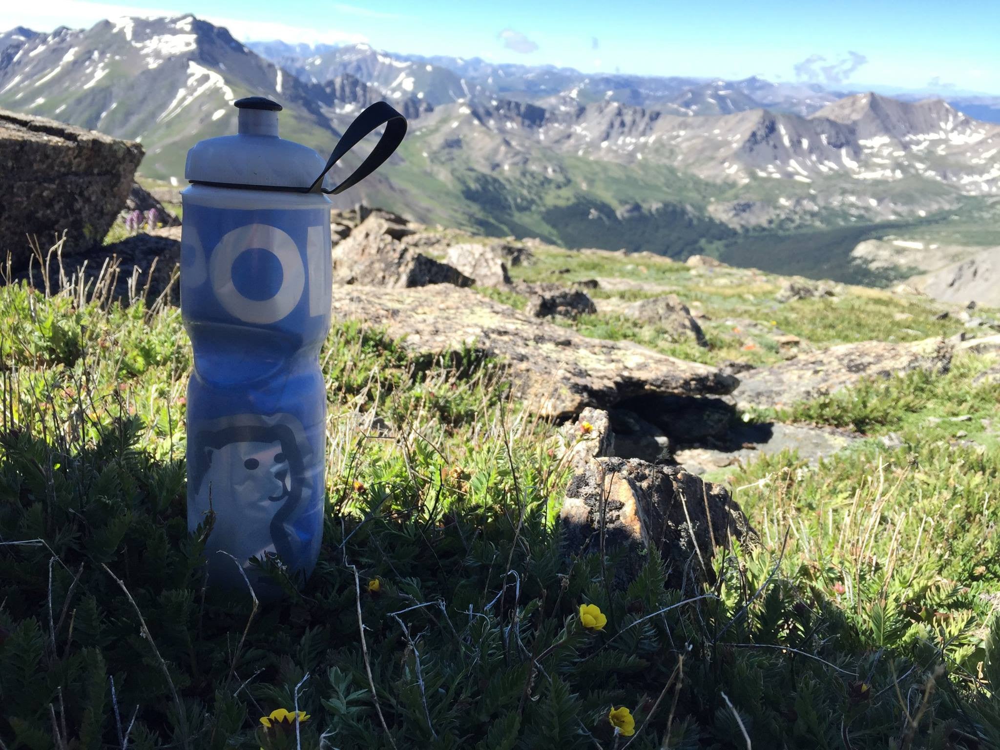 Polar Bottle Big Bear 24oz (710mL) Insulated Water Bottle - BPA Free, Leak Proof, Durable Cycling & Outdoor Sports Hydration Flask for Hiking, Gym, Workout, Camping