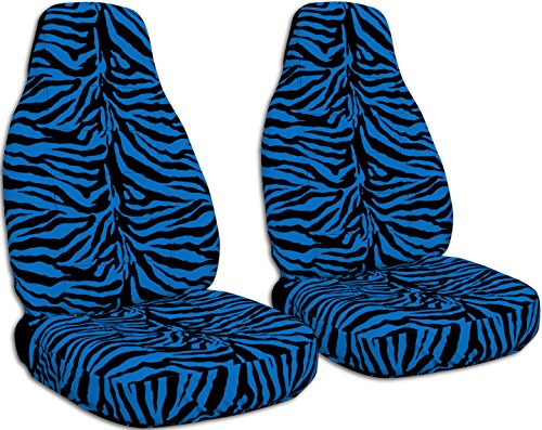 Blue Zebra